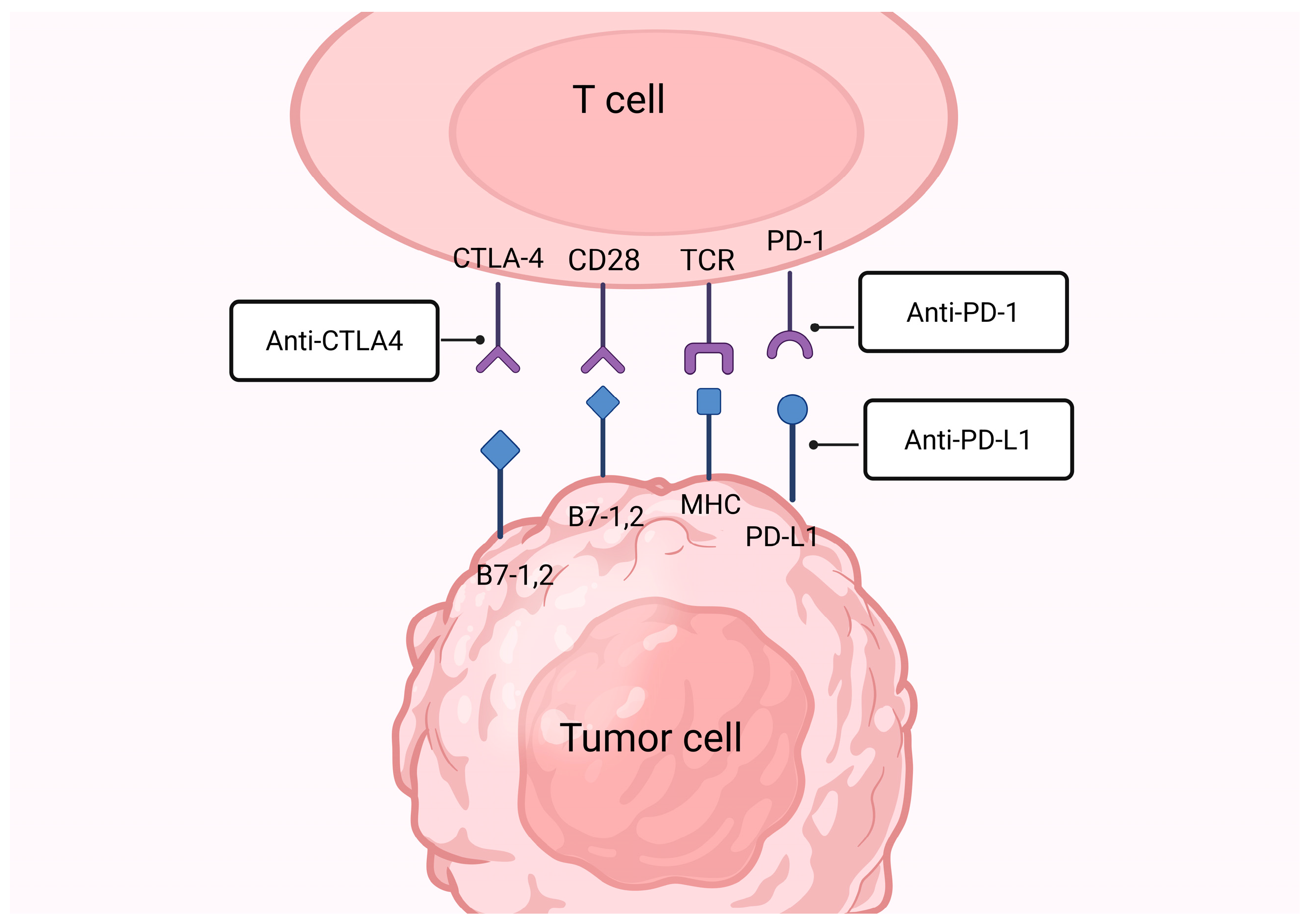 Cancers 18 00464 g001 Cancers 18 00464 g001