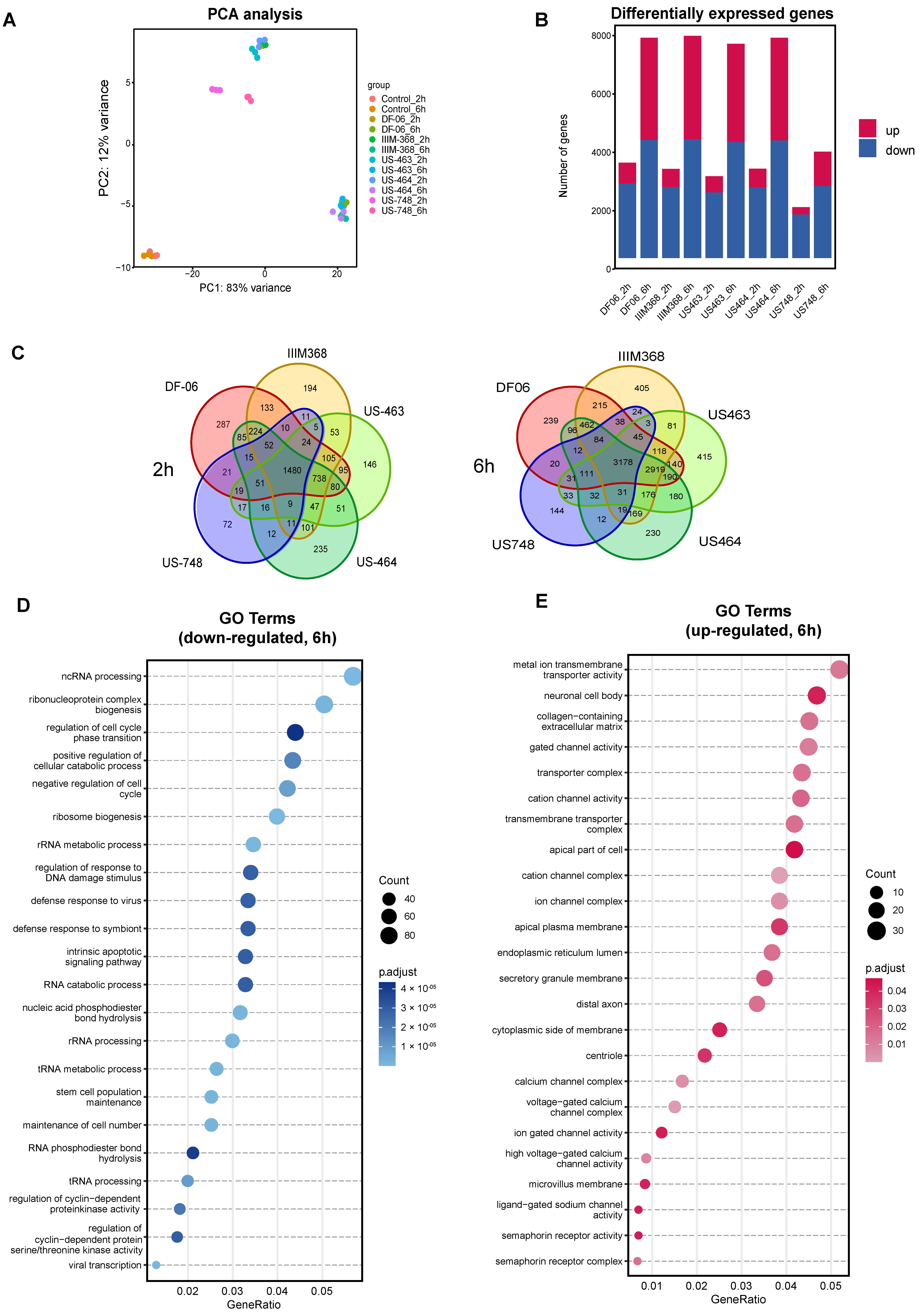 Cancers 18 00466 g003 Cancers 18 00466 g003