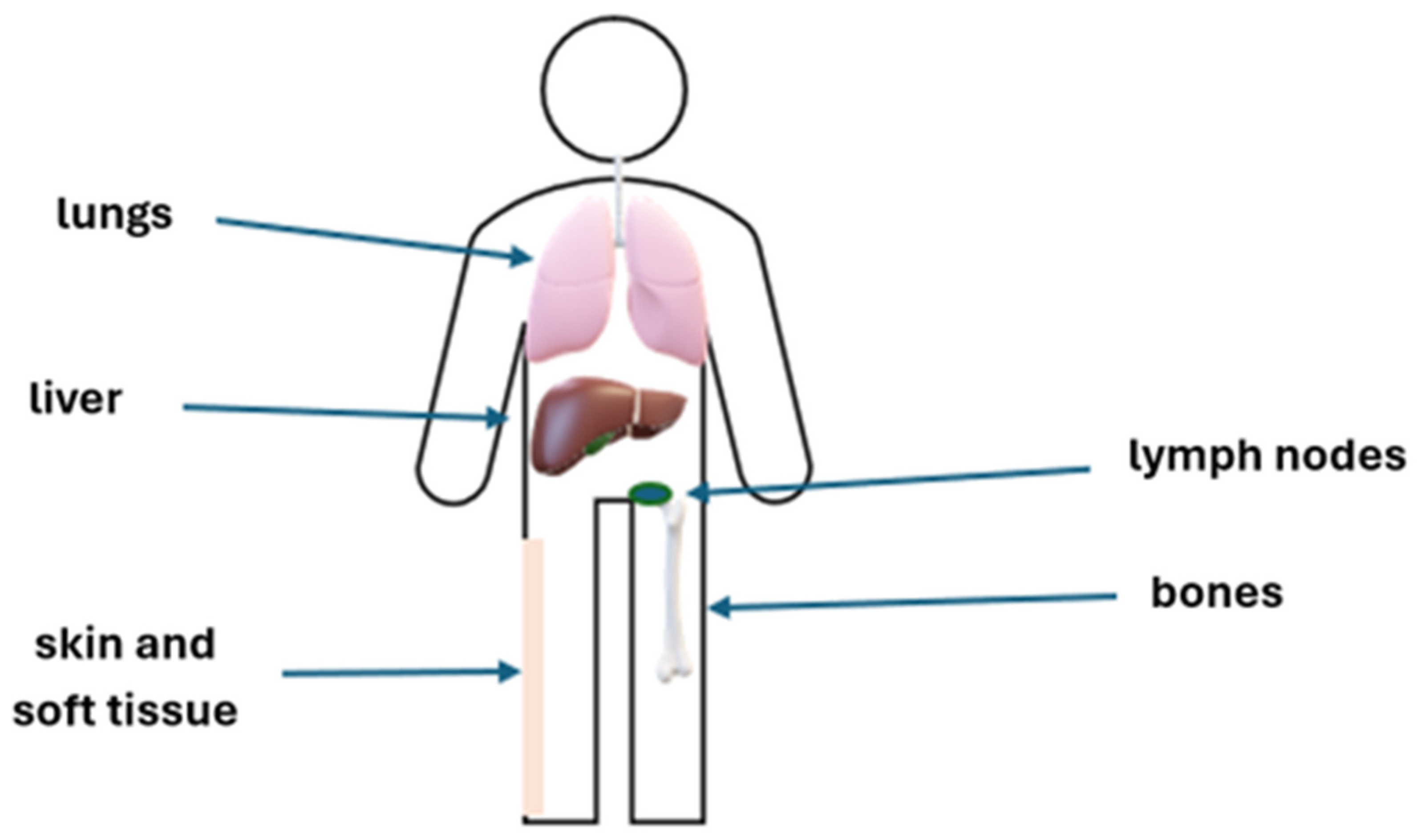 Cancers 18 00475 g001