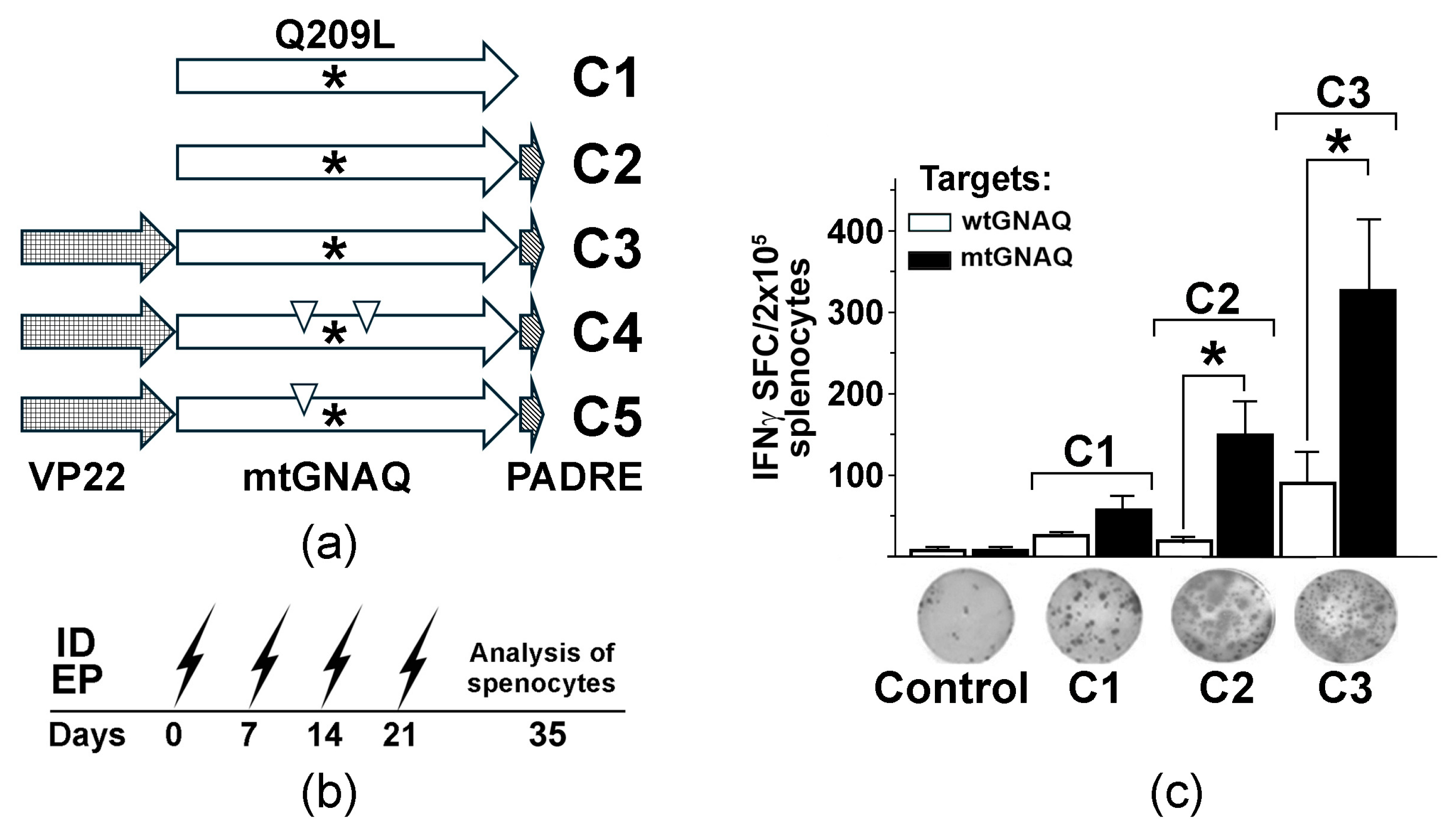 Cancers 18 00480 g001 Cancers 18 00480 g001