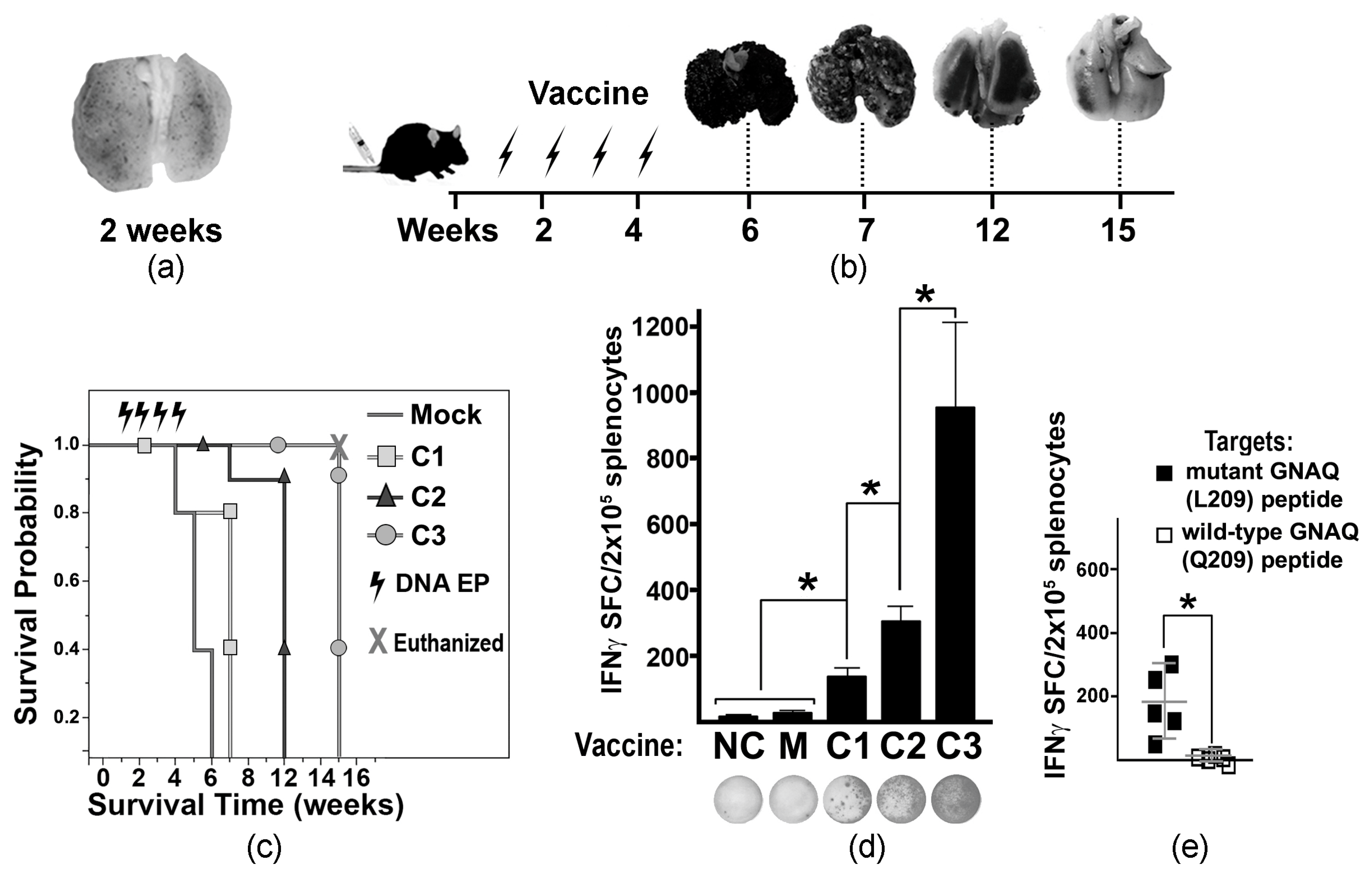 Cancers 18 00480 g002 Cancers 18 00480 g002