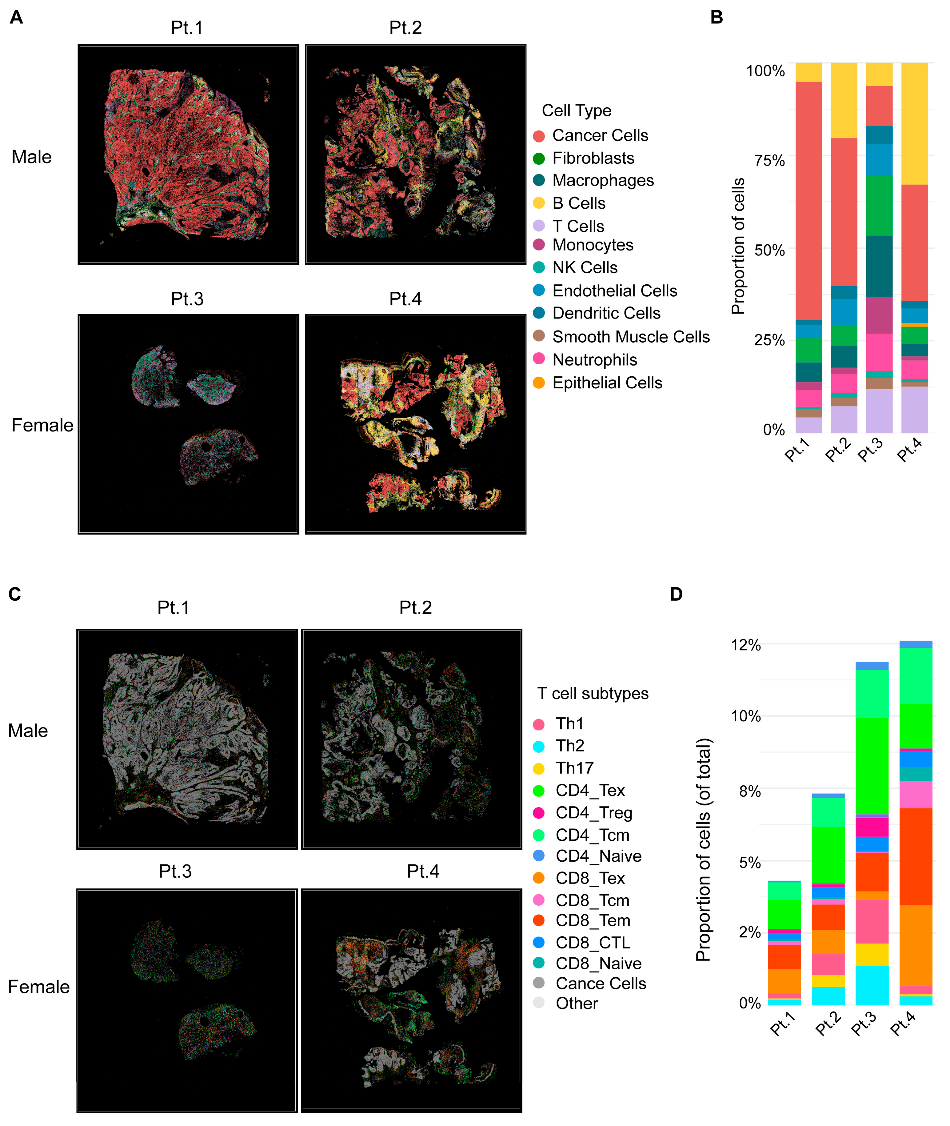 Cancers 18 00481 g001 Cancers 18 00481 g001