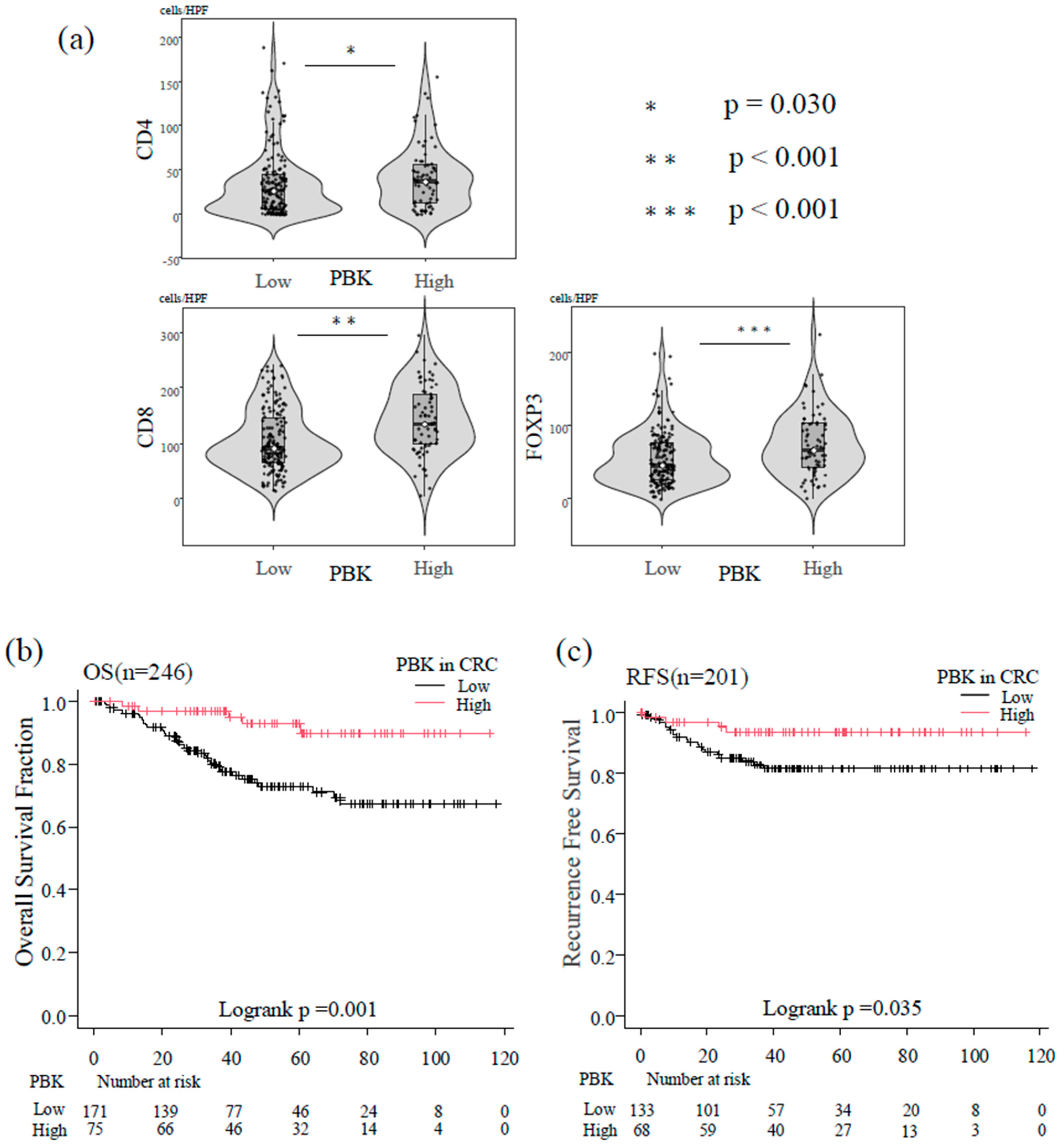 Cancers 18 00482 g003 Cancers 18 00482 g003