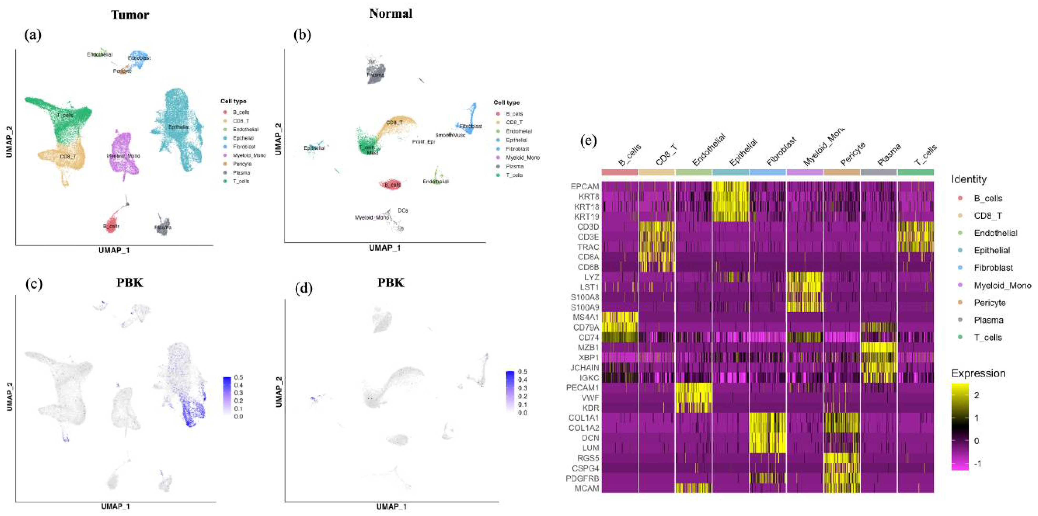 Cancers 18 00482 g004 Cancers 18 00482 g004