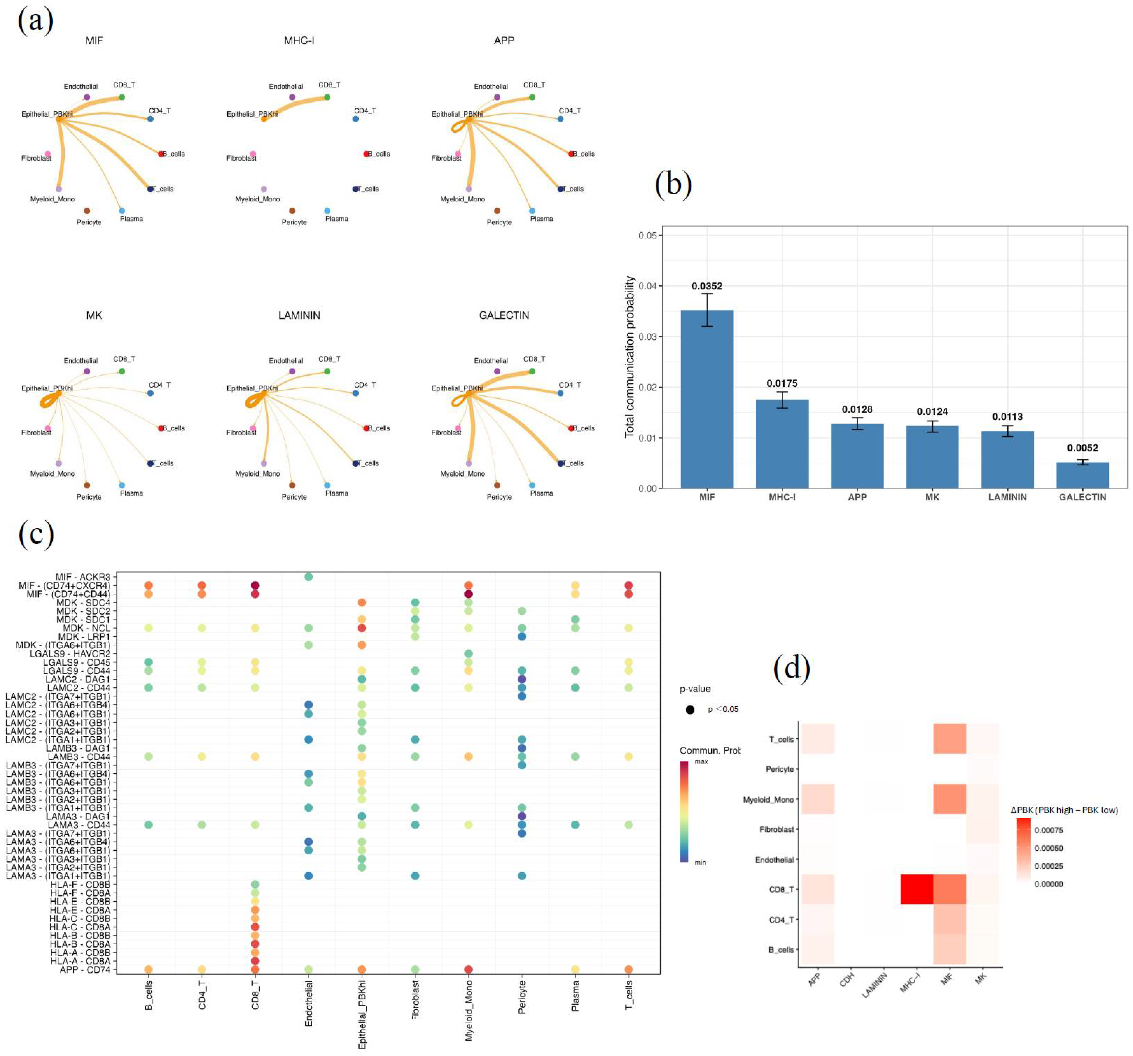 Cancers 18 00482 g005 Cancers 18 00482 g005