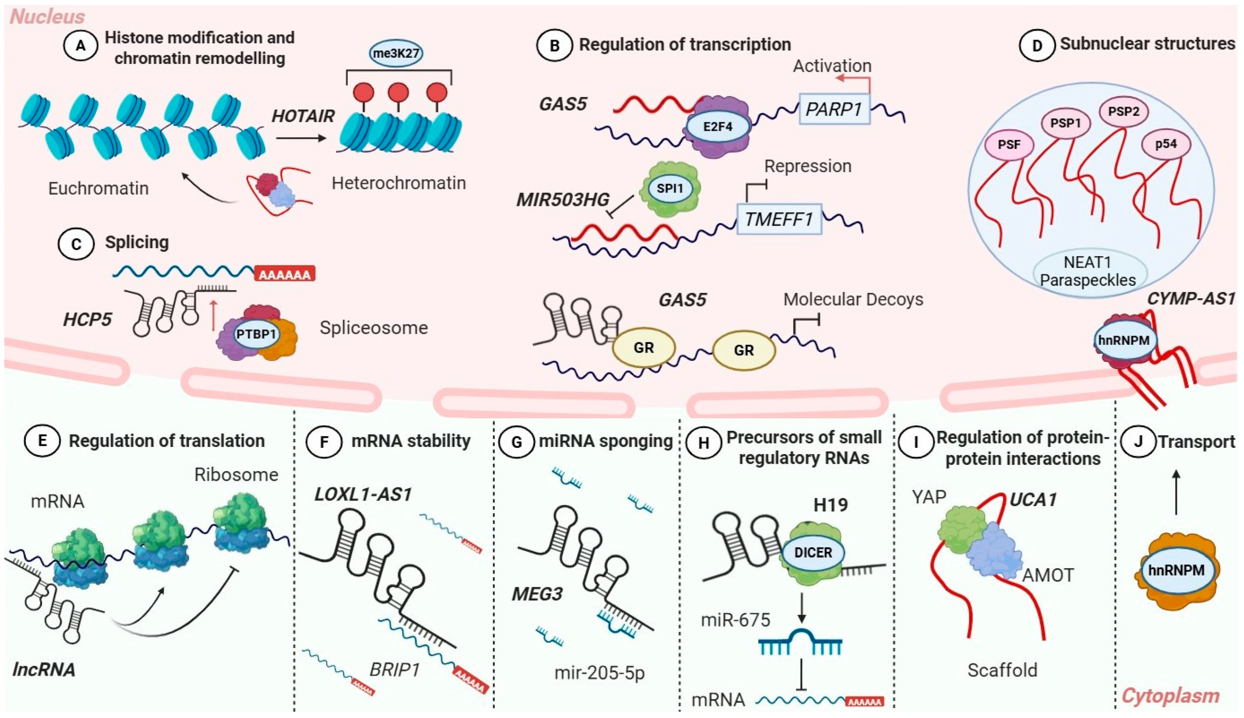 Cancers 18 00484 g001 Cancers 18 00484 g001