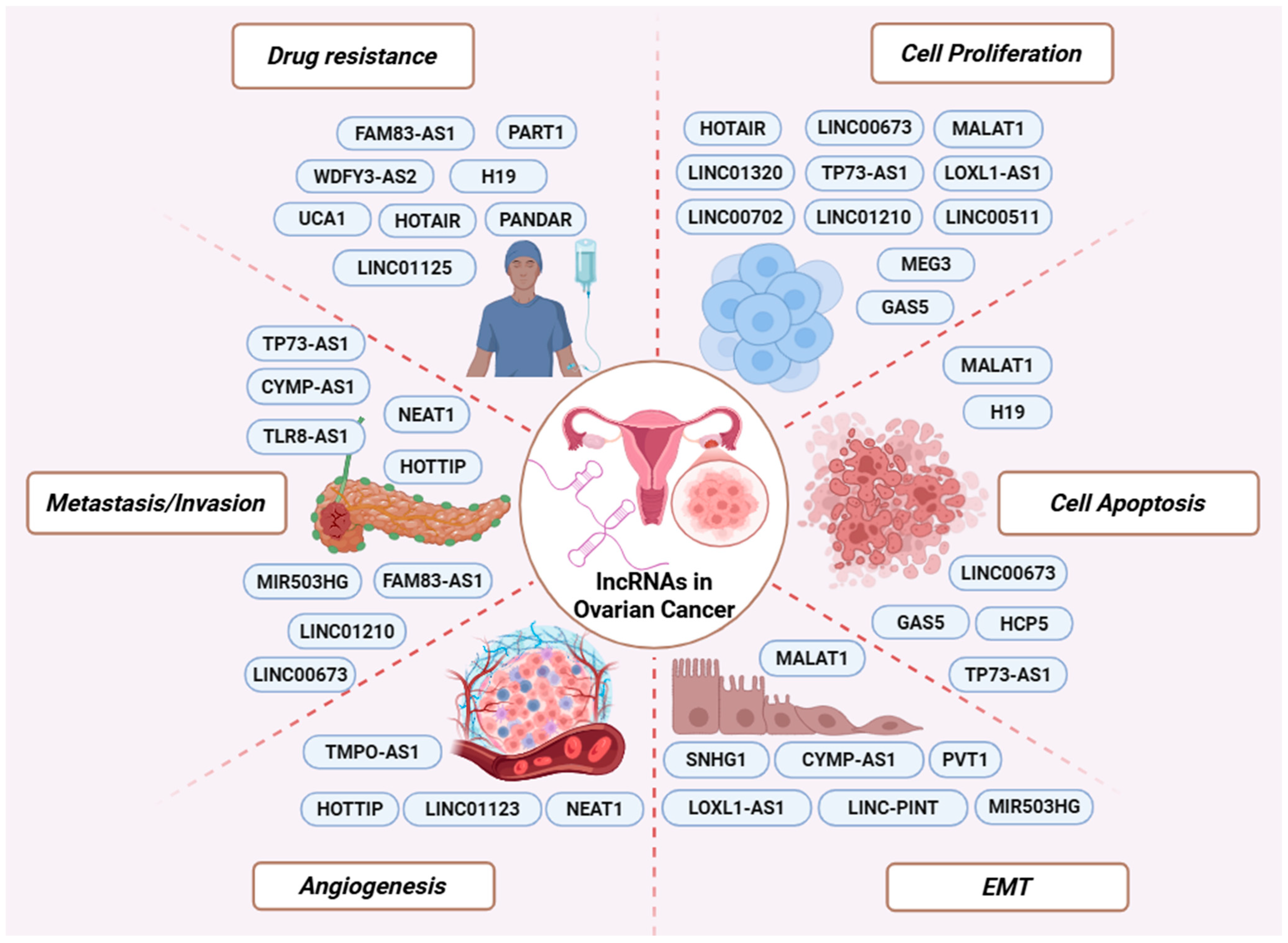Cancers 18 00484 g002 Cancers 18 00484 g002