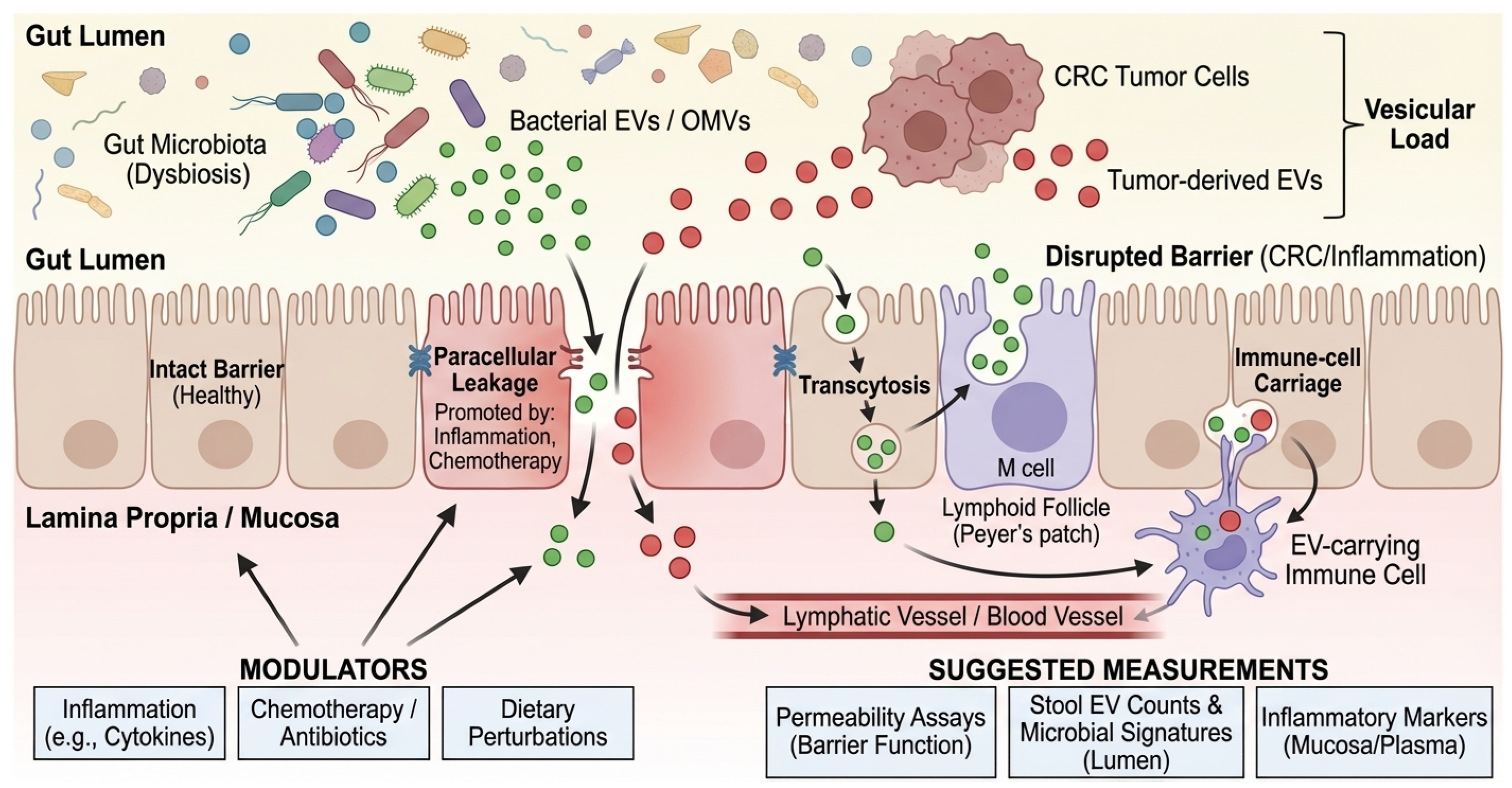 Cancers 18 00522 g002