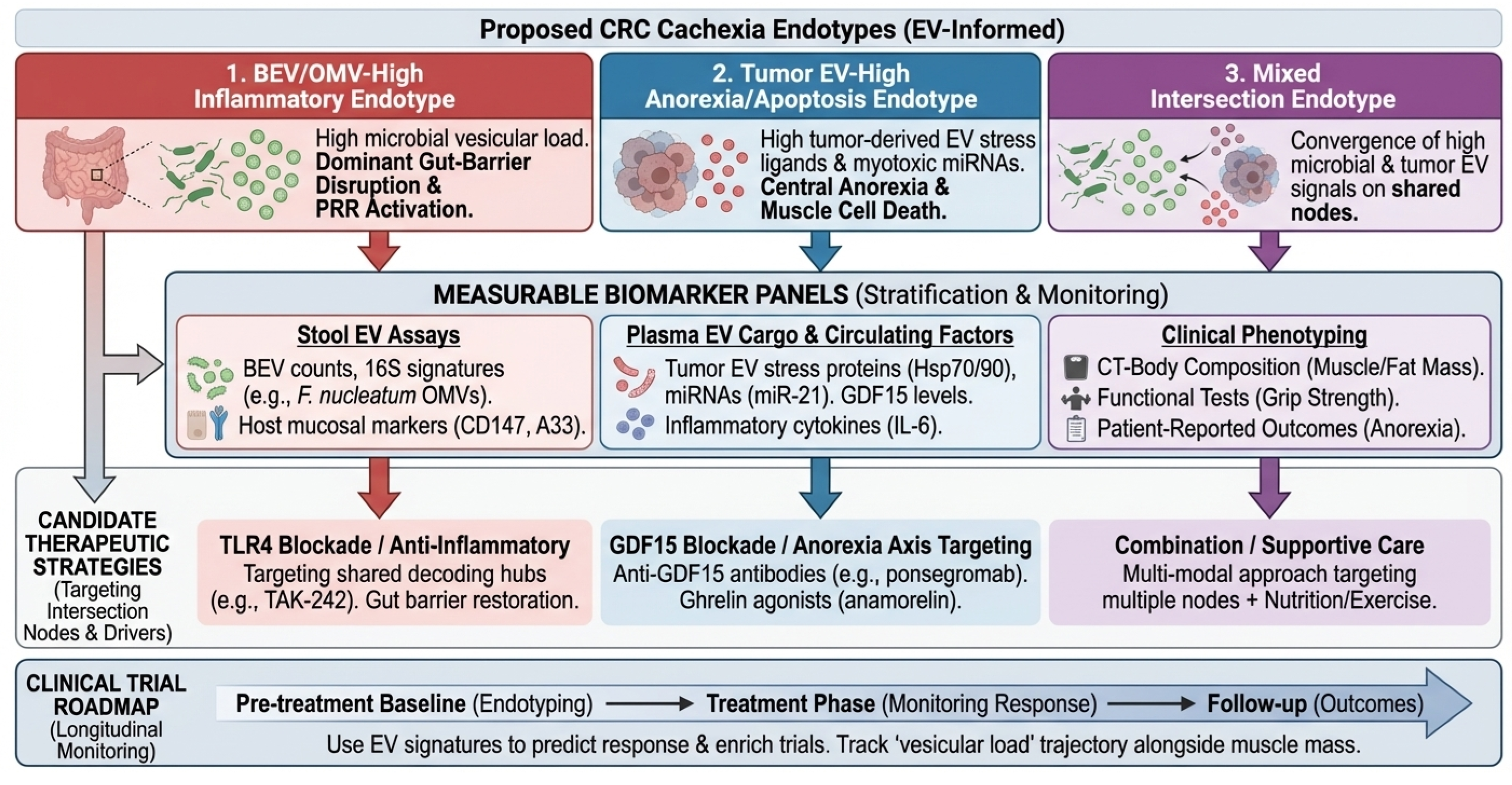 Cancers 18 00522 g004