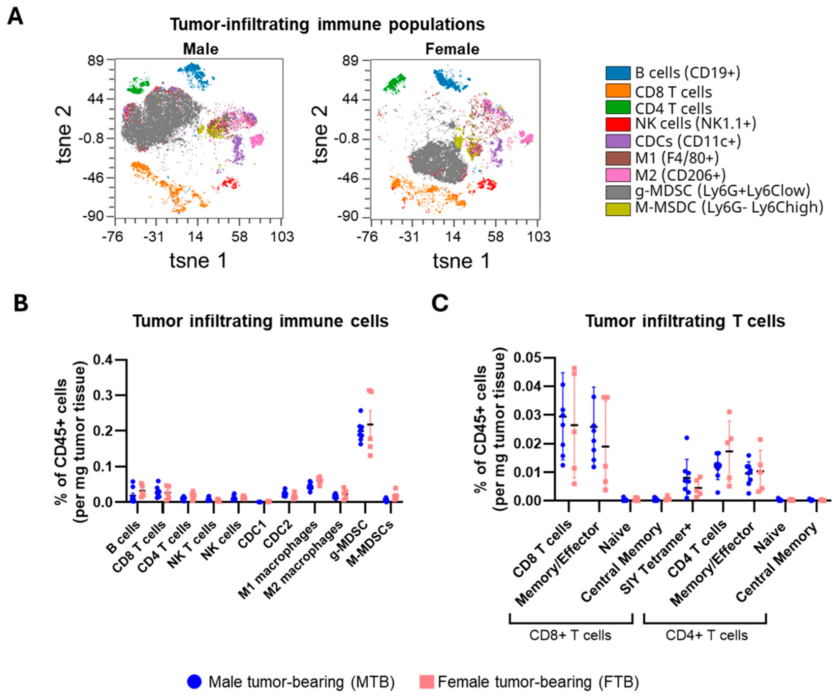 Cancers 18 00587 g004 Cancers 18 00587 g004