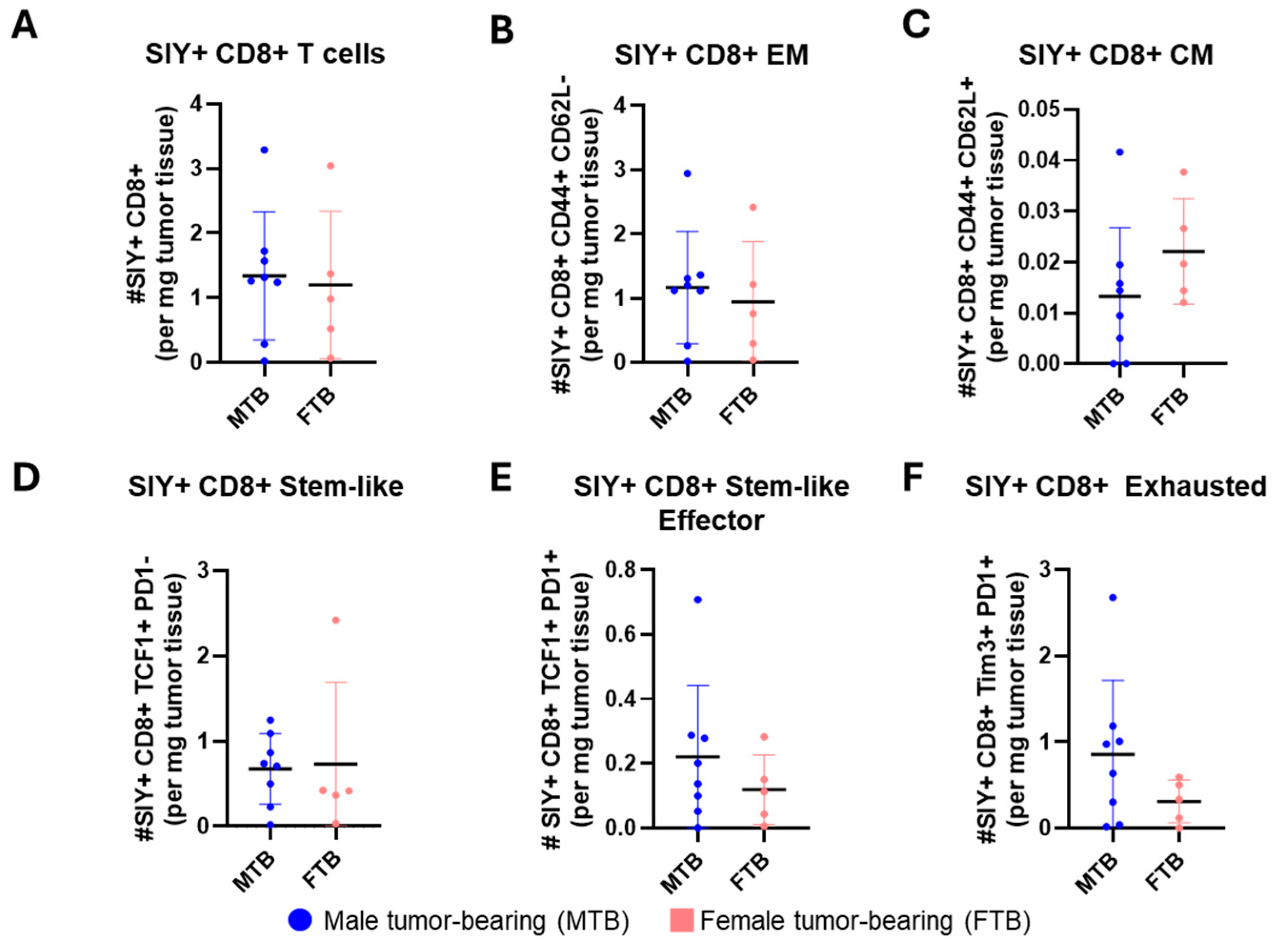 Cancers 18 00587 g005 Cancers 18 00587 g005