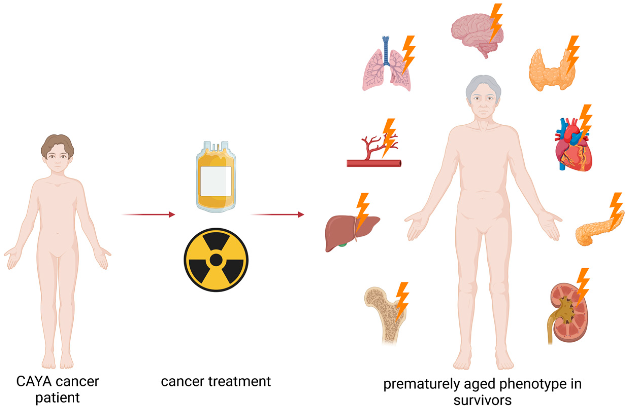 Cancers 18 00644 g002 Cancers 18 00644 g002