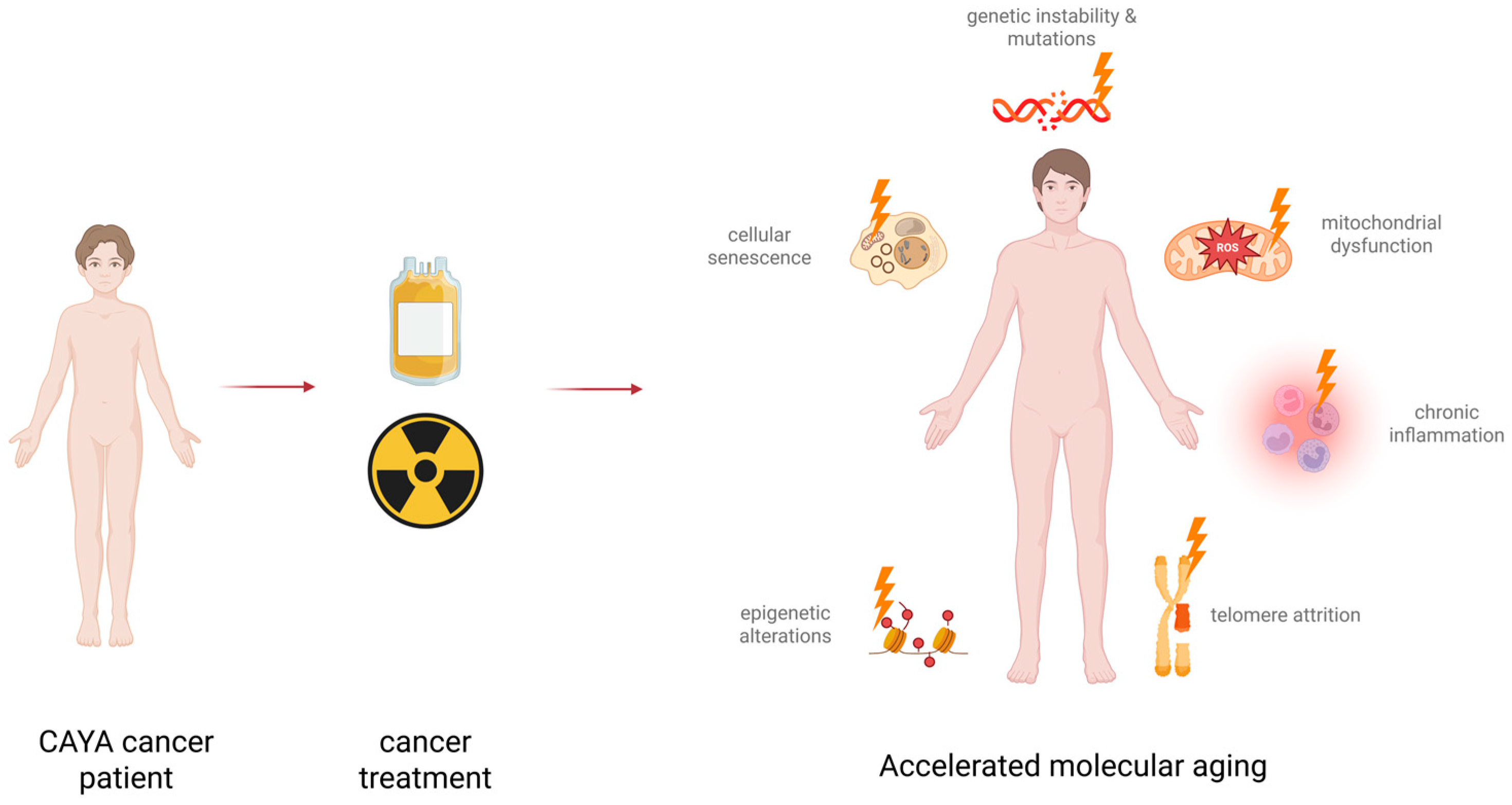 Cancers 18 00644 g003 Cancers 18 00644 g003