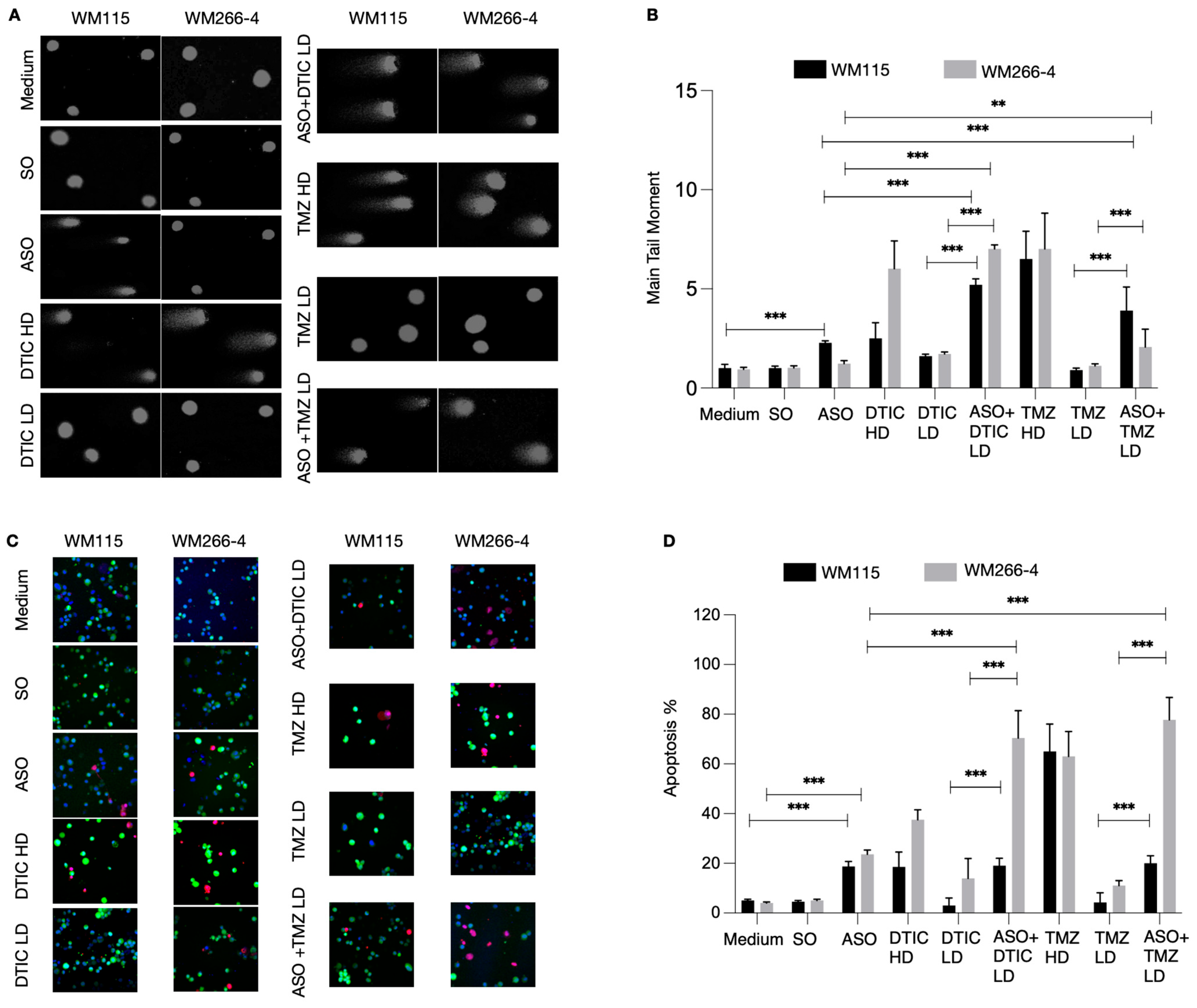 Cancers 18 00647 g004 Cancers 18 00647 g004