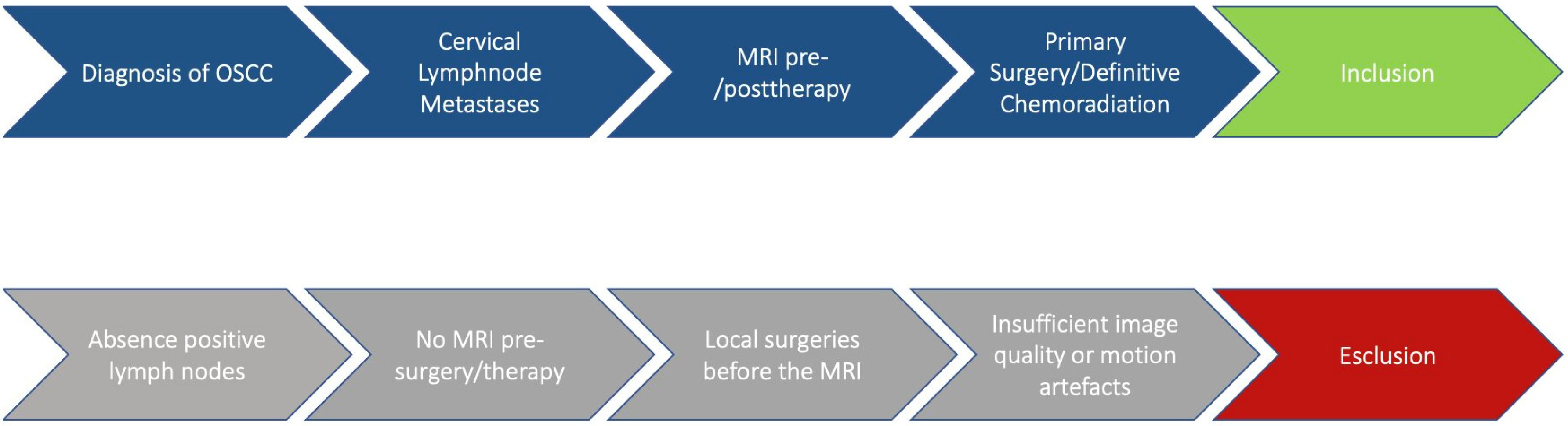 Cancers 18 00692 g001