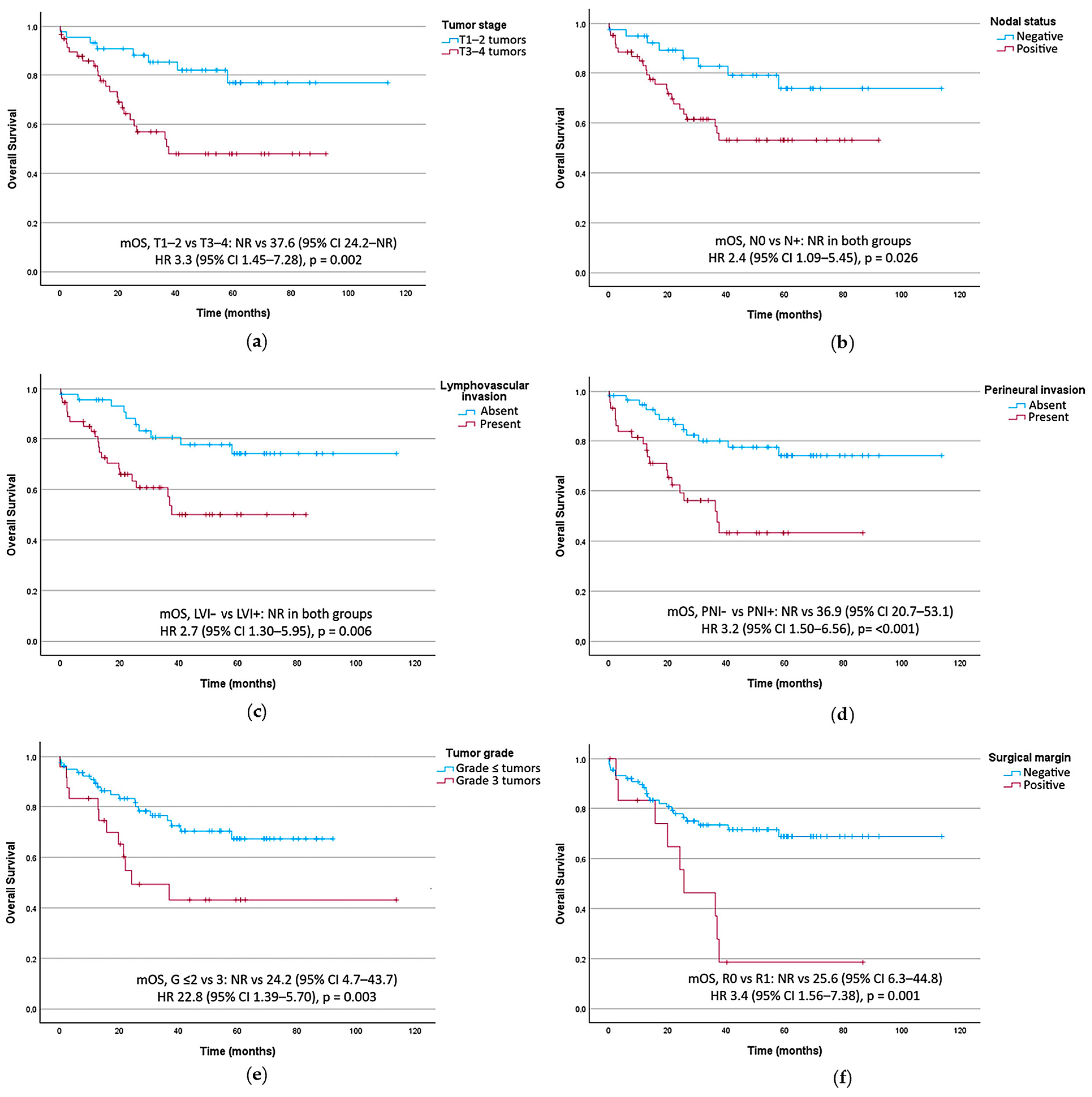 Cancers 18 00707 g004