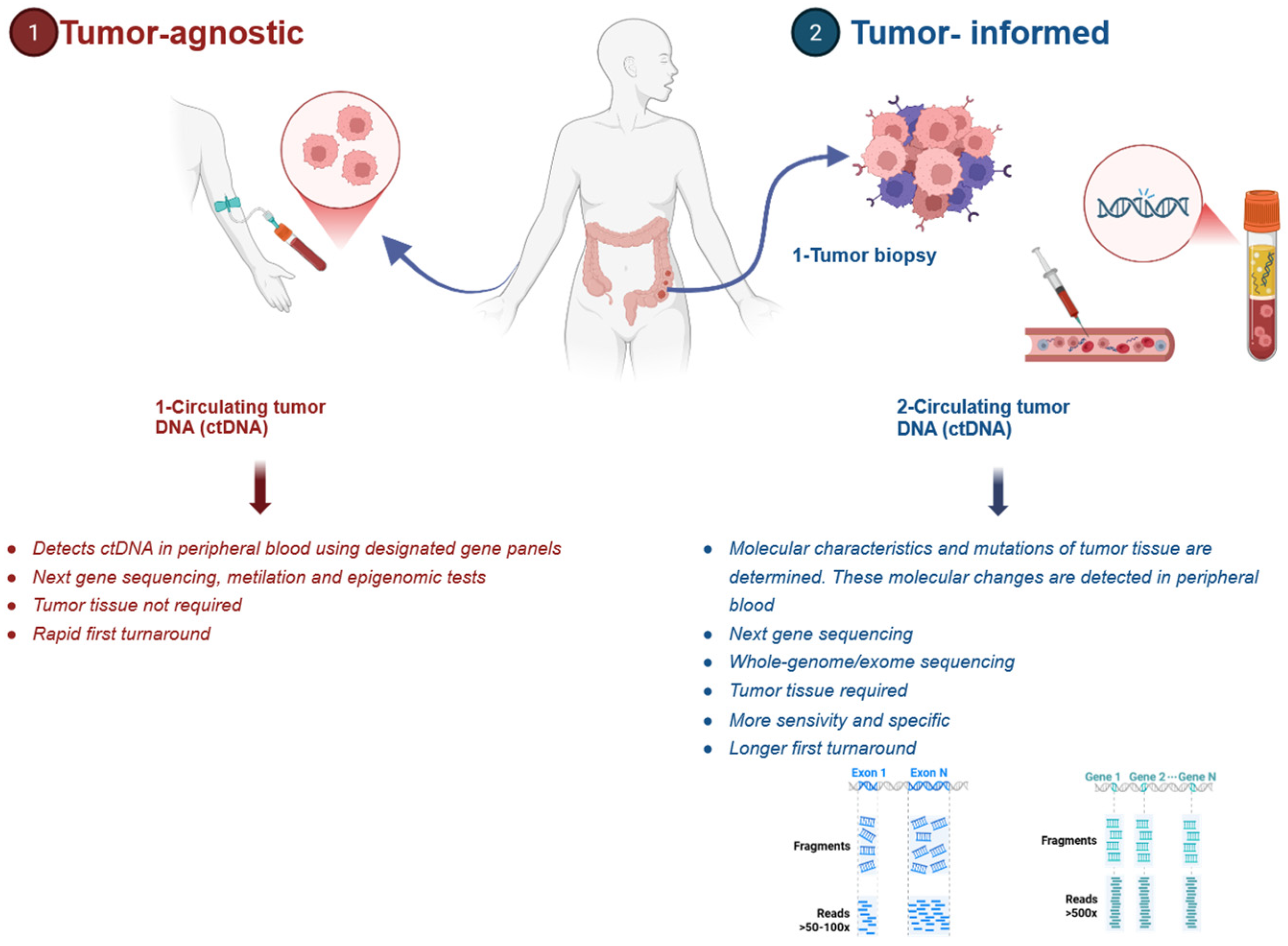 Cancers 18 00754 g001