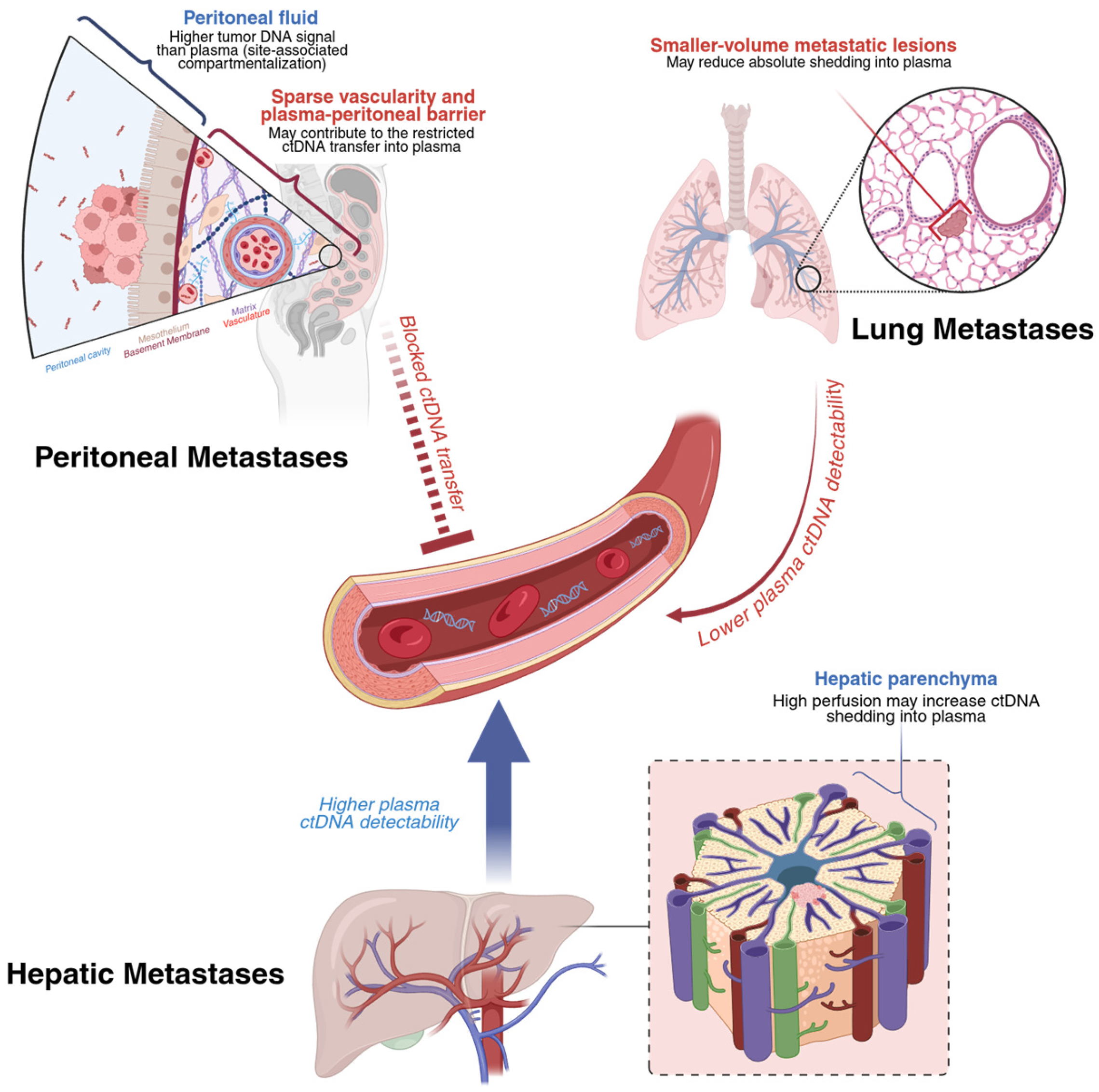 Cancers 18 00754 g002