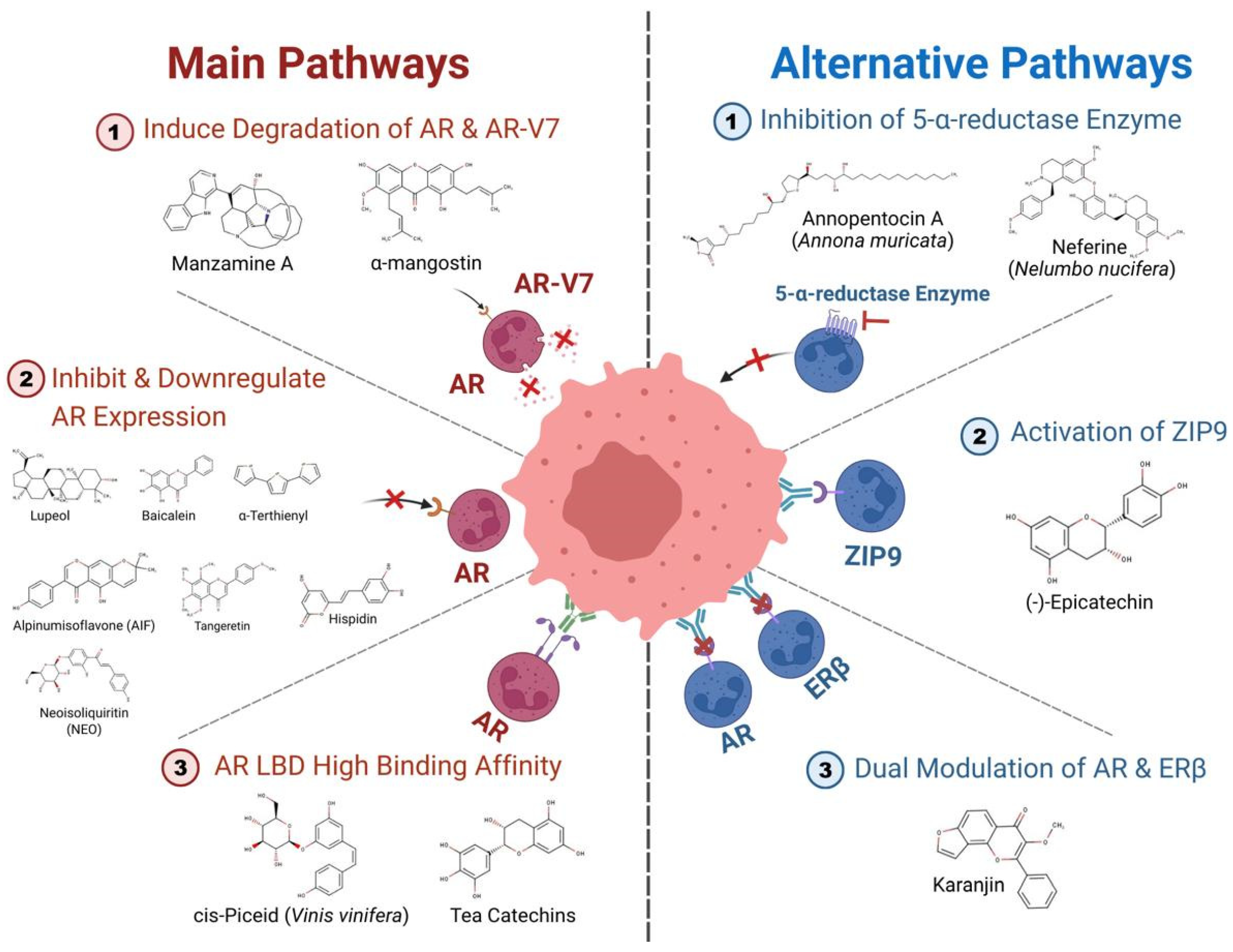 Cancers 18 00786 g002