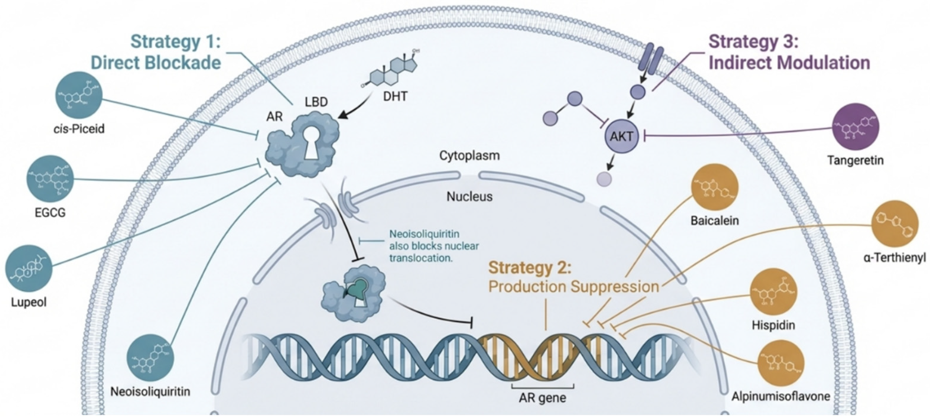Cancers 18 00786 g003