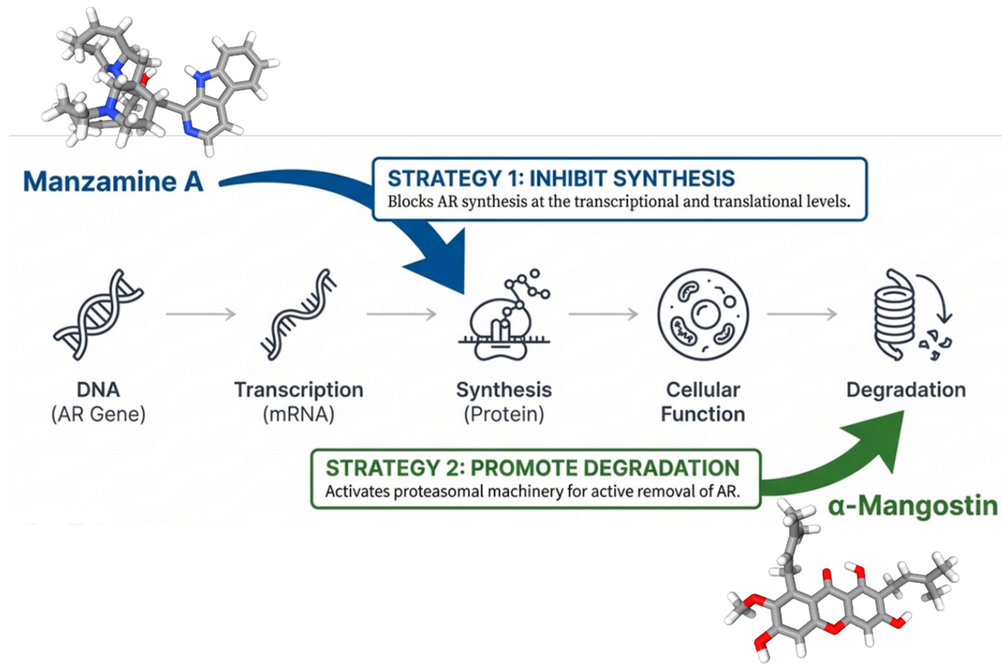 Cancers 18 00786 g004