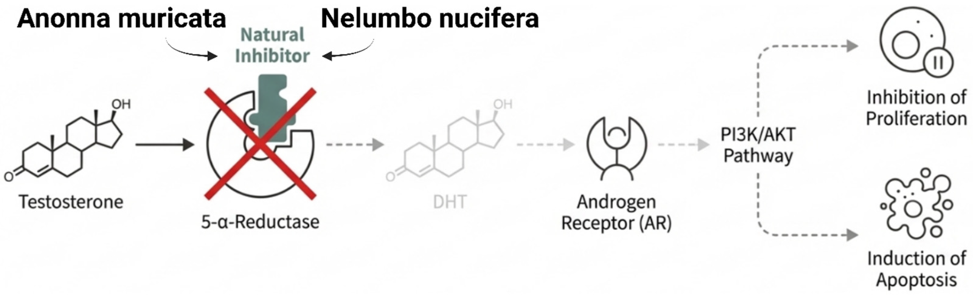 Cancers 18 00786 g005