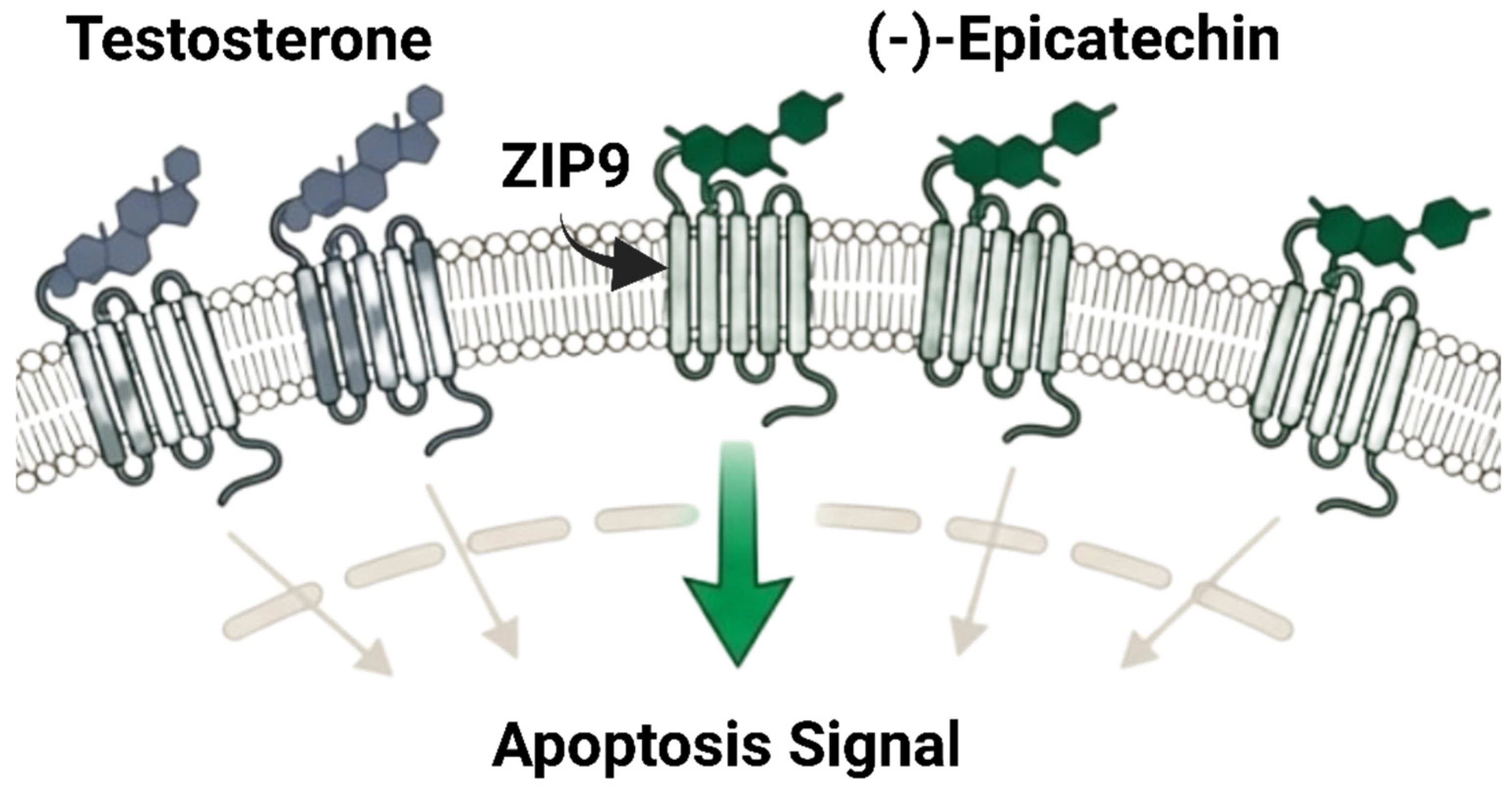 Cancers 18 00786 g006