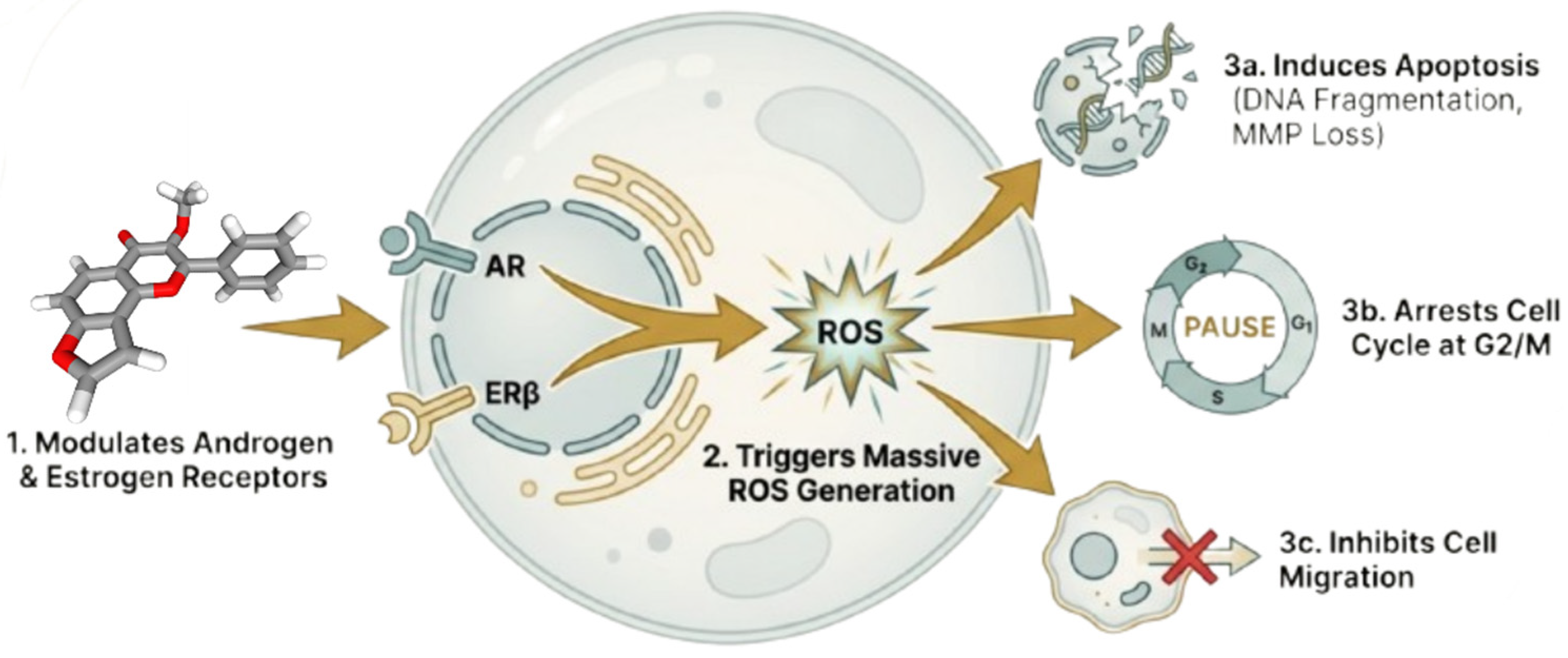 Cancers 18 00786 g007