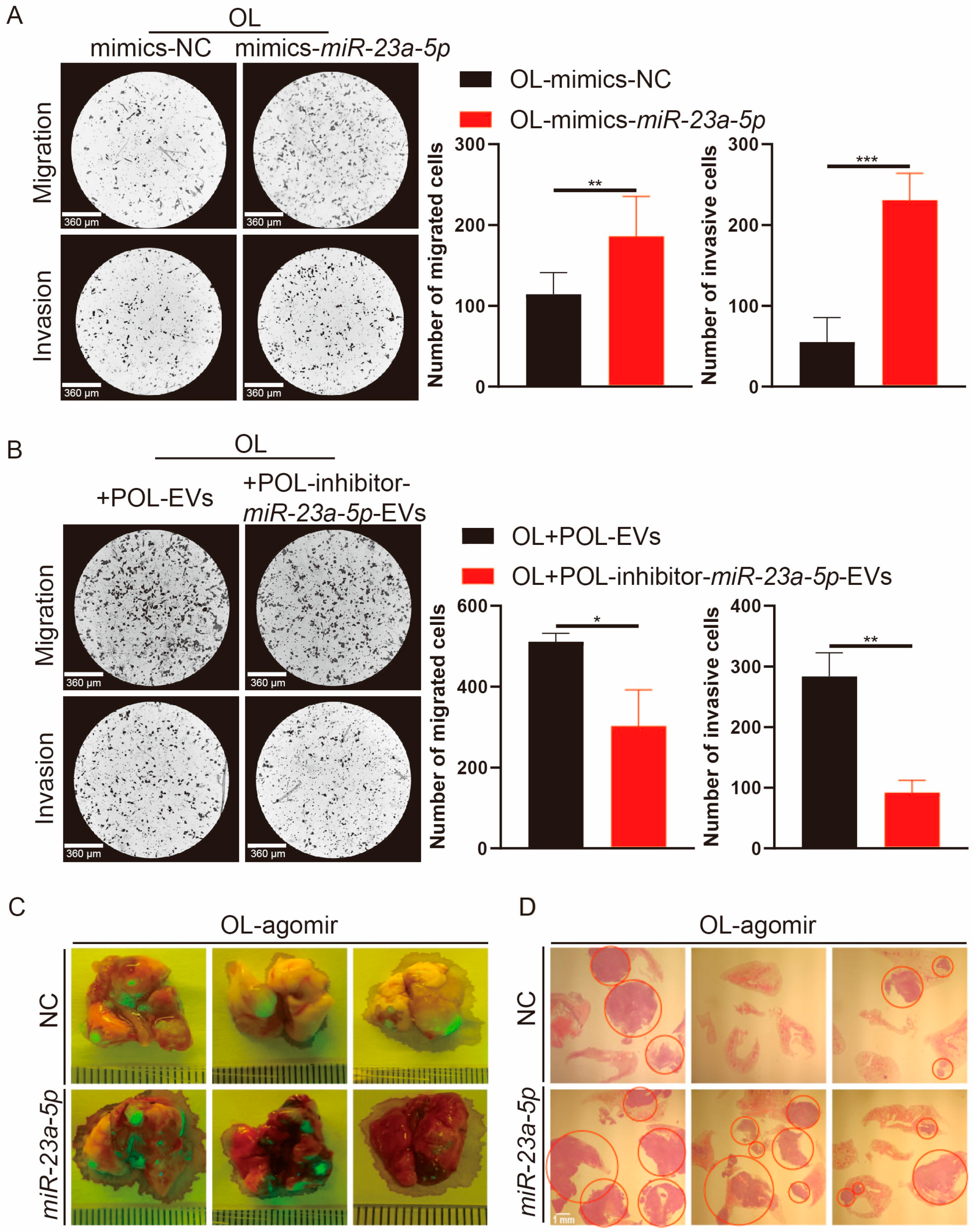 Cancers 18 00792 g003