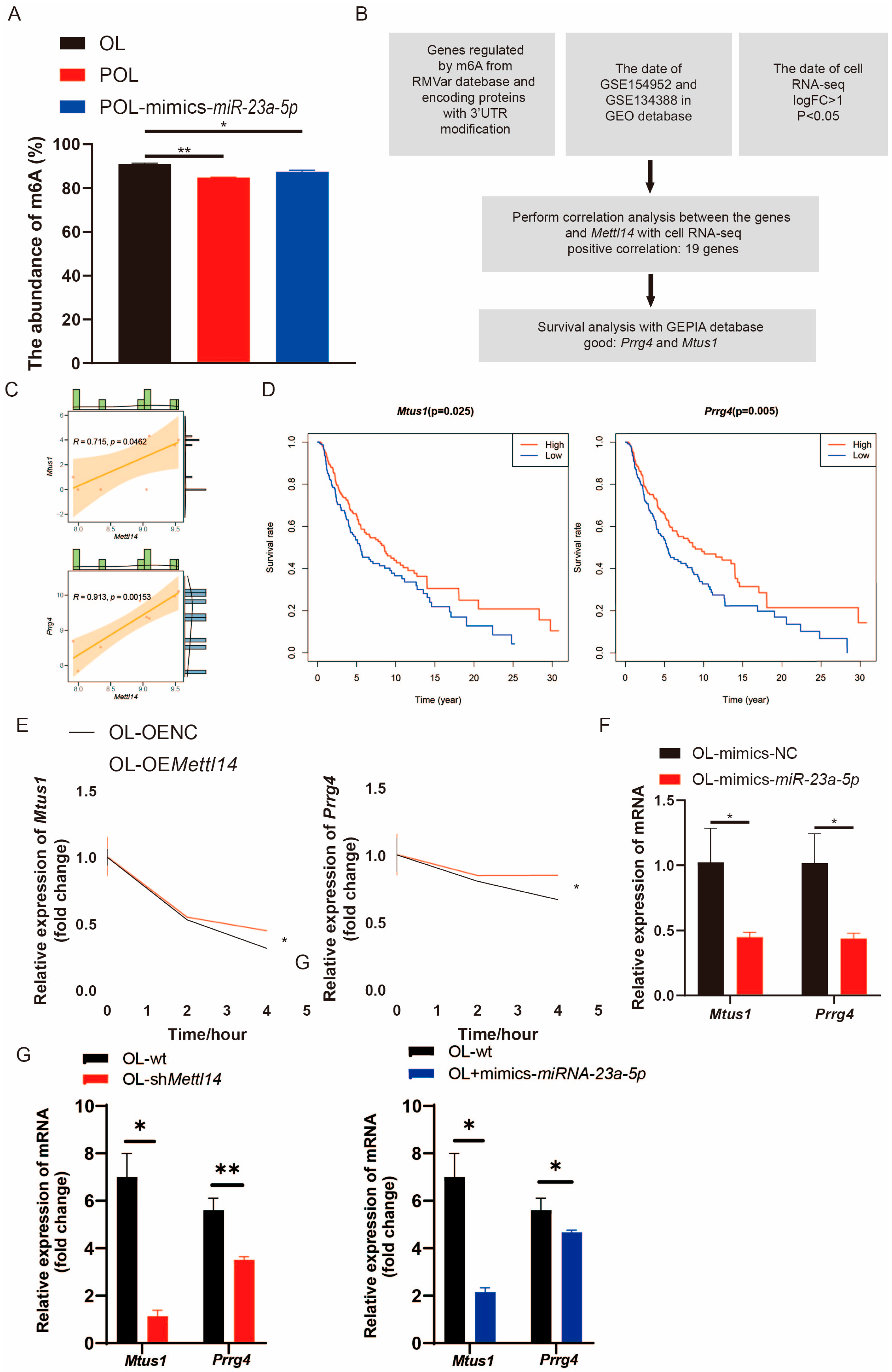Cancers 18 00792 g006