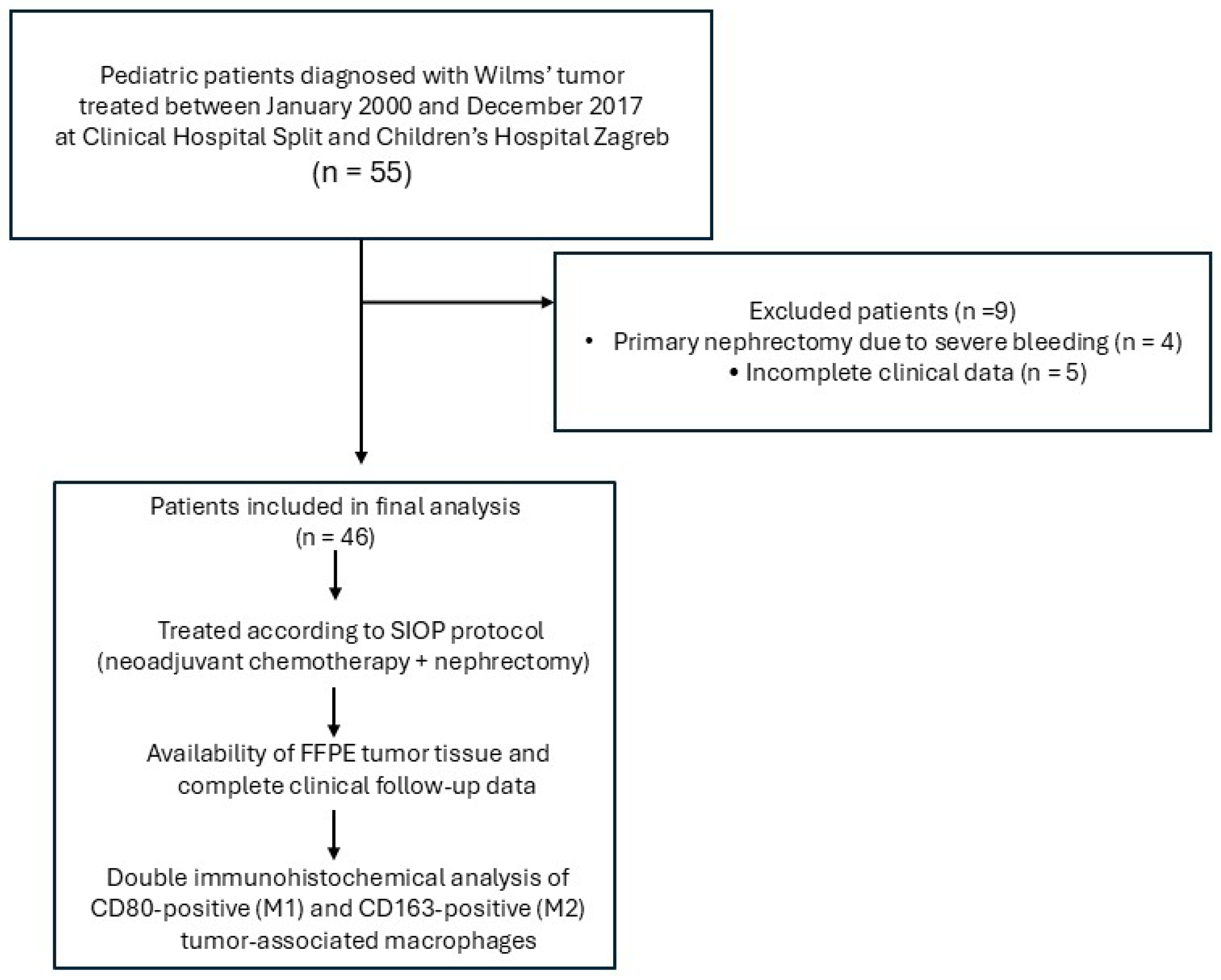 Cancers 18 00810 g001