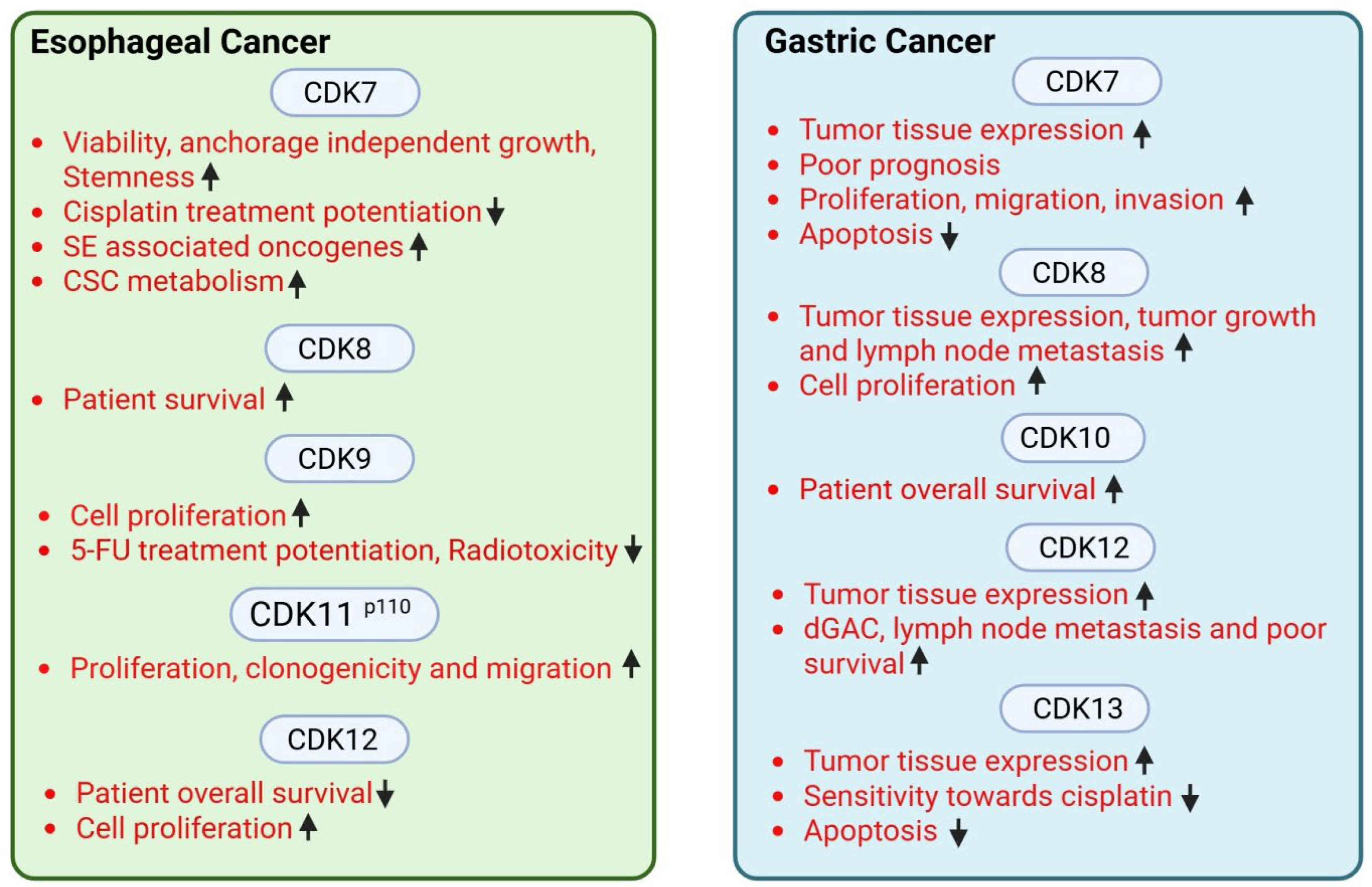 Cancers 18 00979 g002 Cancers 18 00979 g002