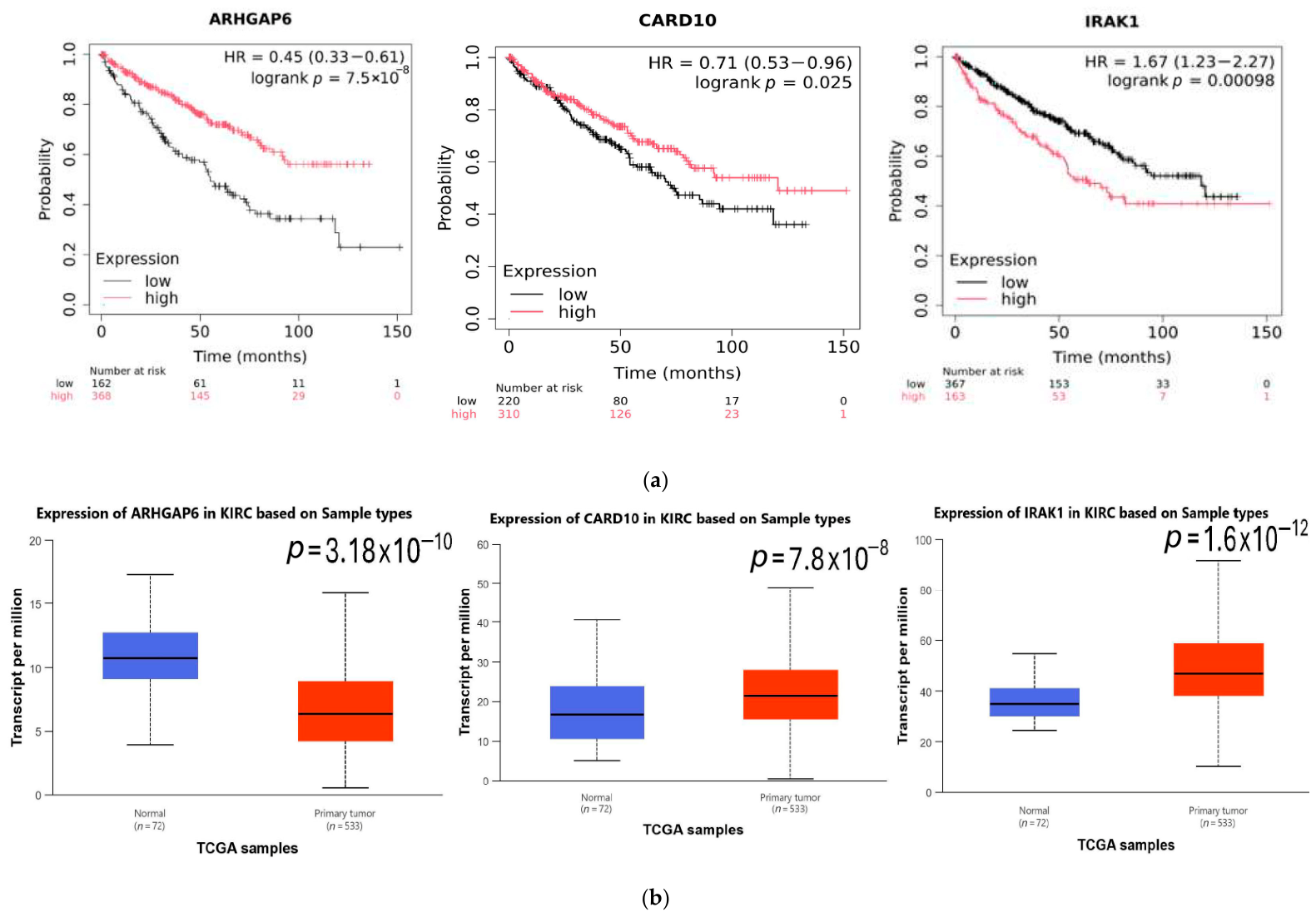 Cancers 18 01775 g011 Cancers 18 01775 g011