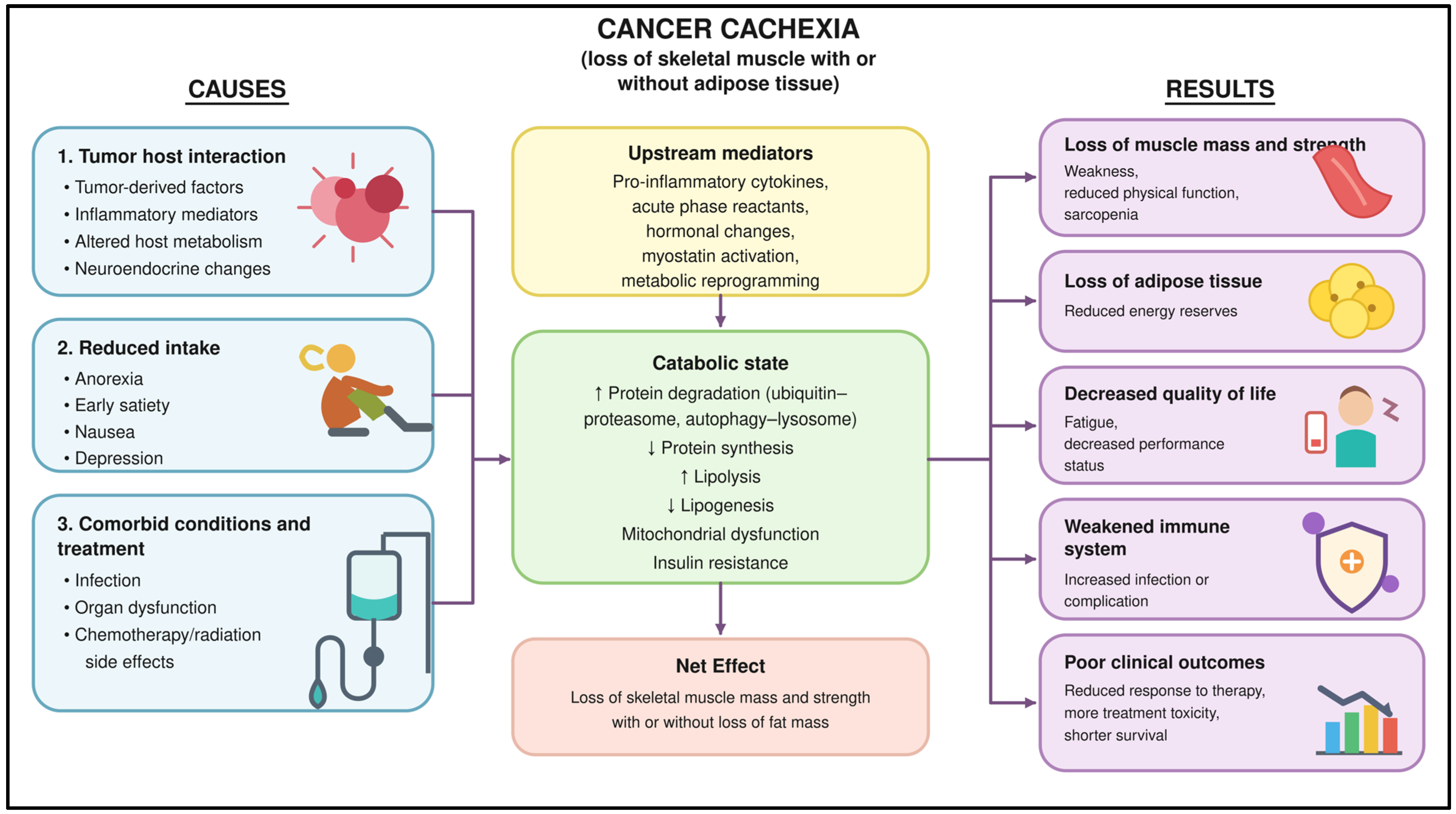 Cancers 18 02738 g002 Cancers 18 02738 g002