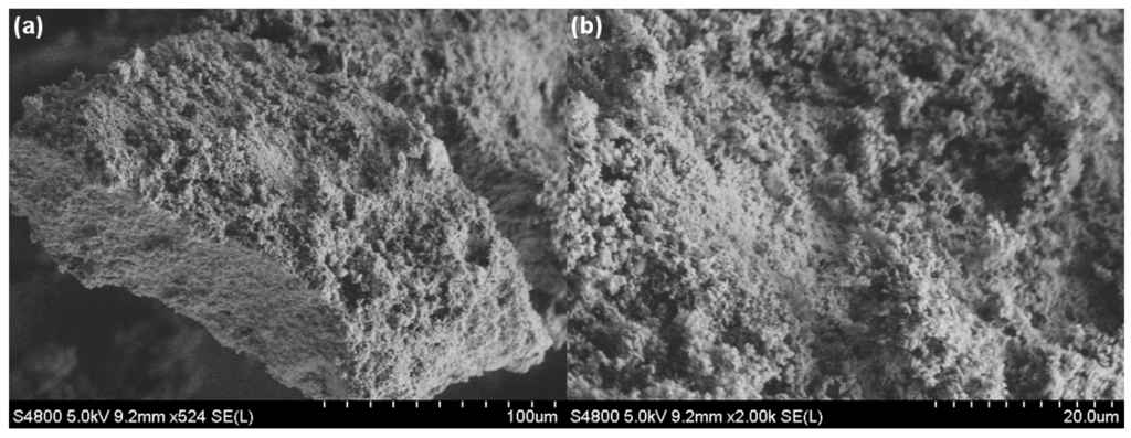 Carbon 01 00016 g002 1024