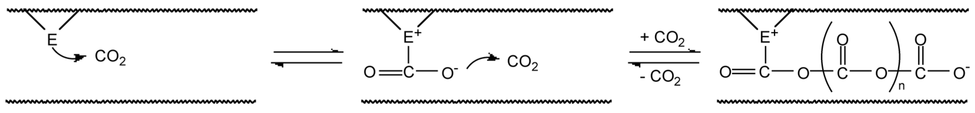 Carbon 02 00005 g001