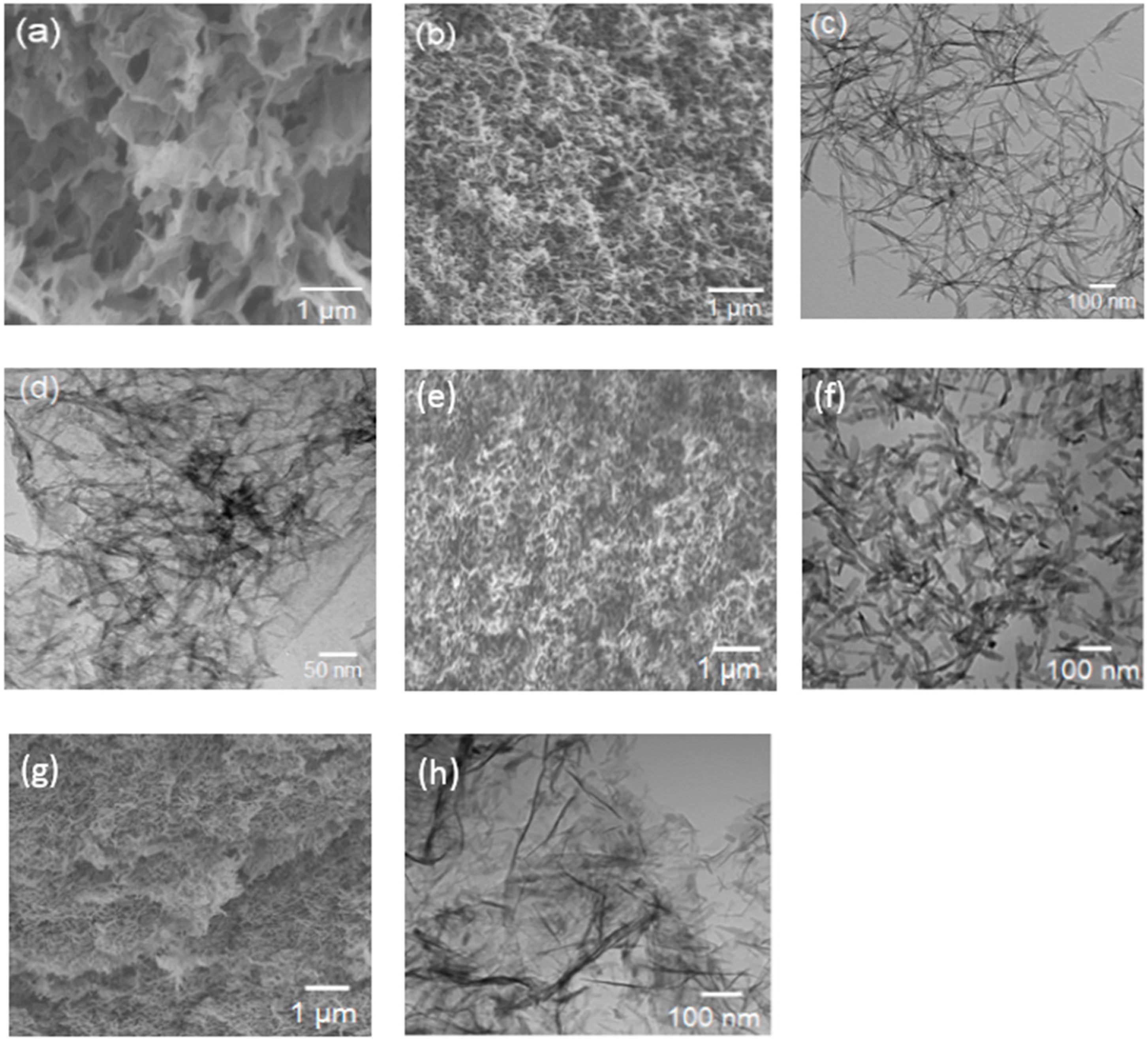 Carbon 02 00021 g001