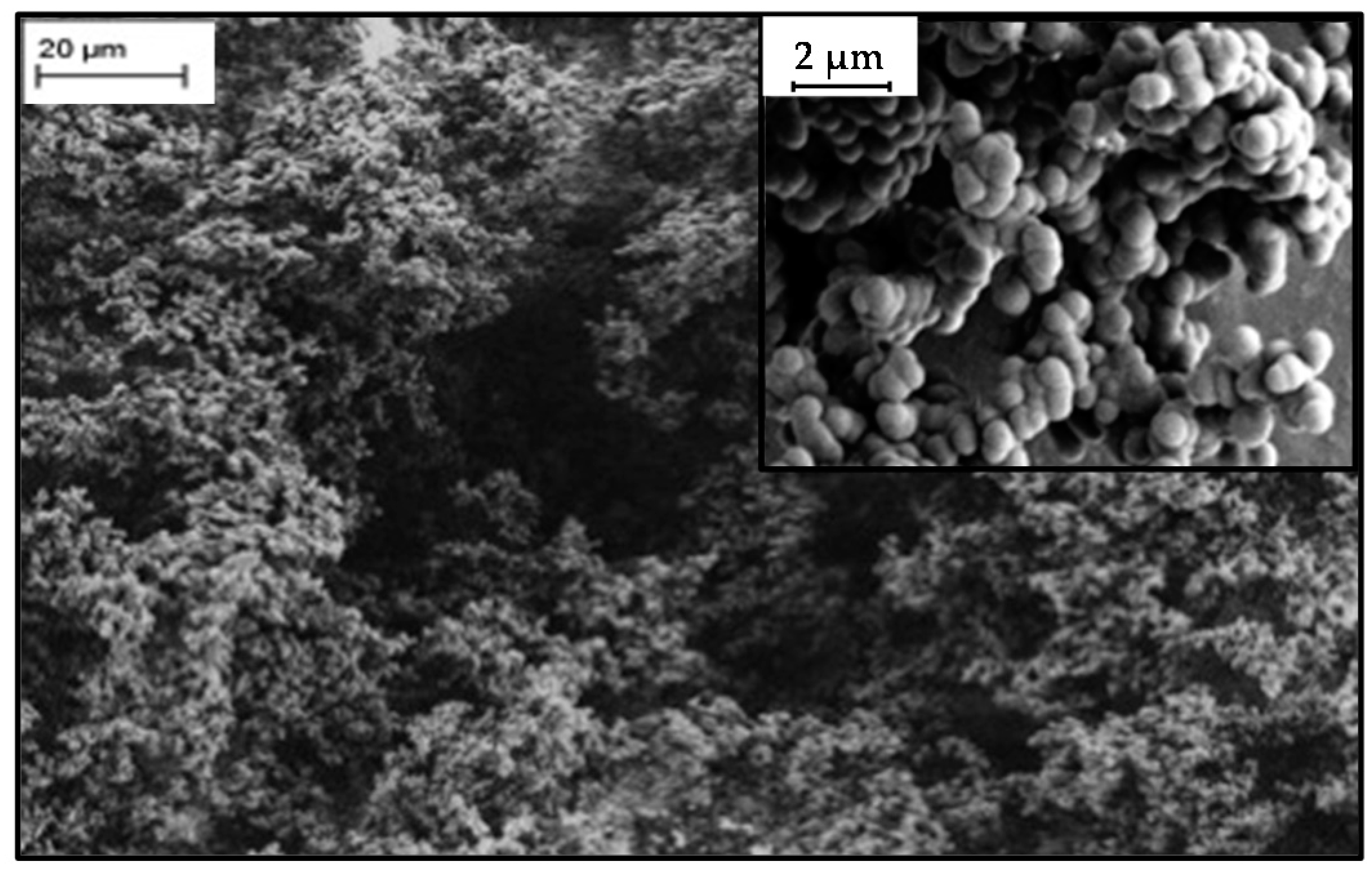 Carbon 02 00022 g001