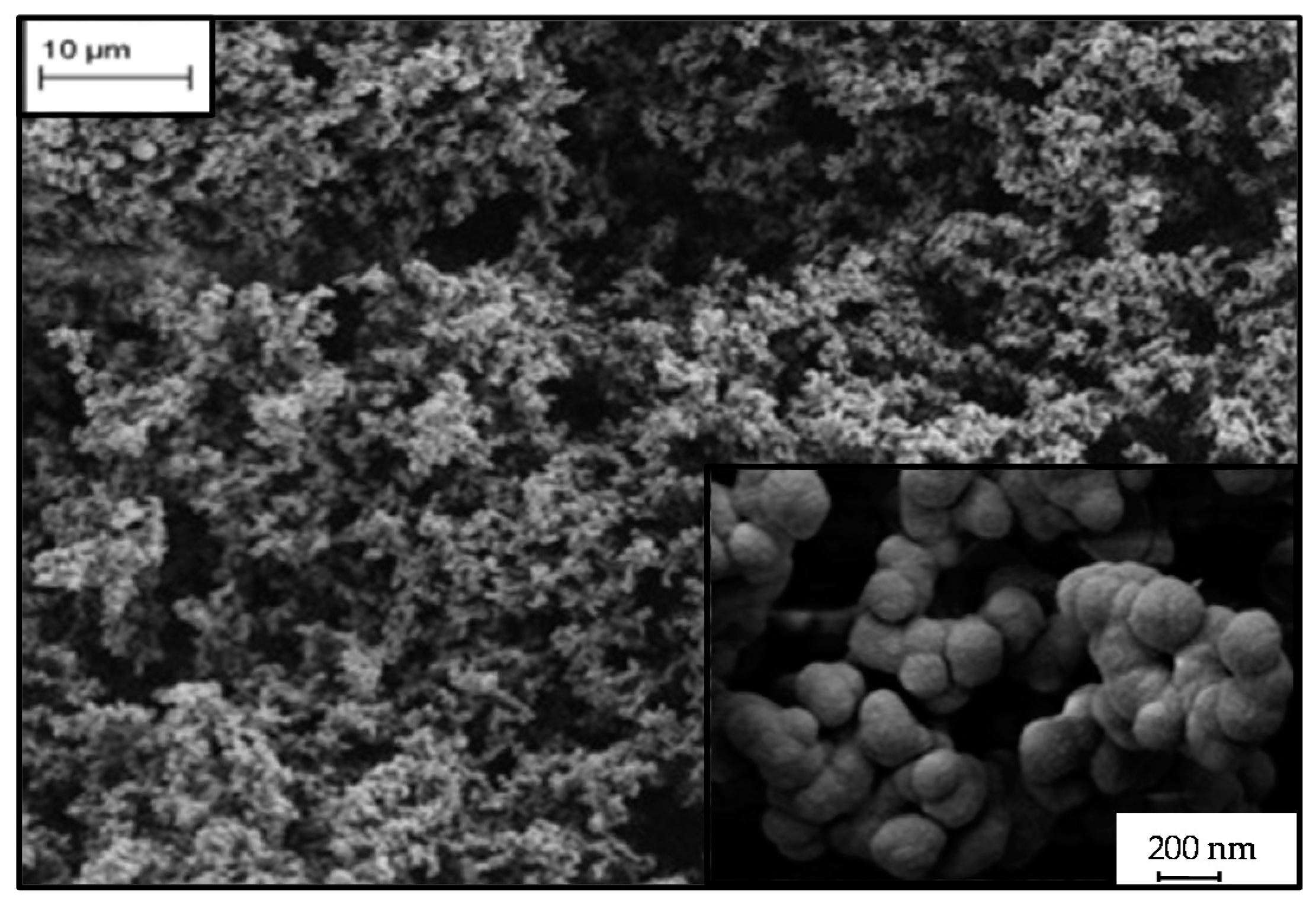 Carbon 02 00022 g003