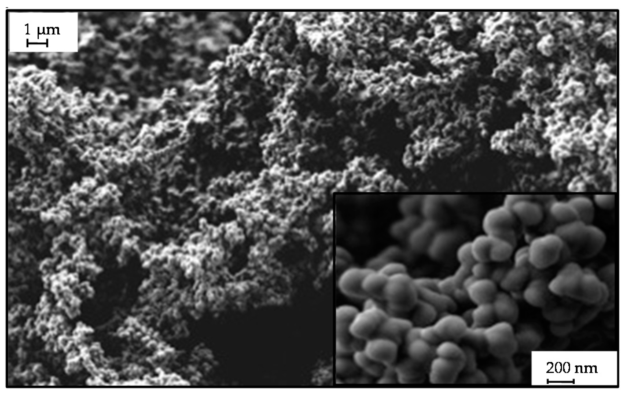 Carbon 02 00022 g004