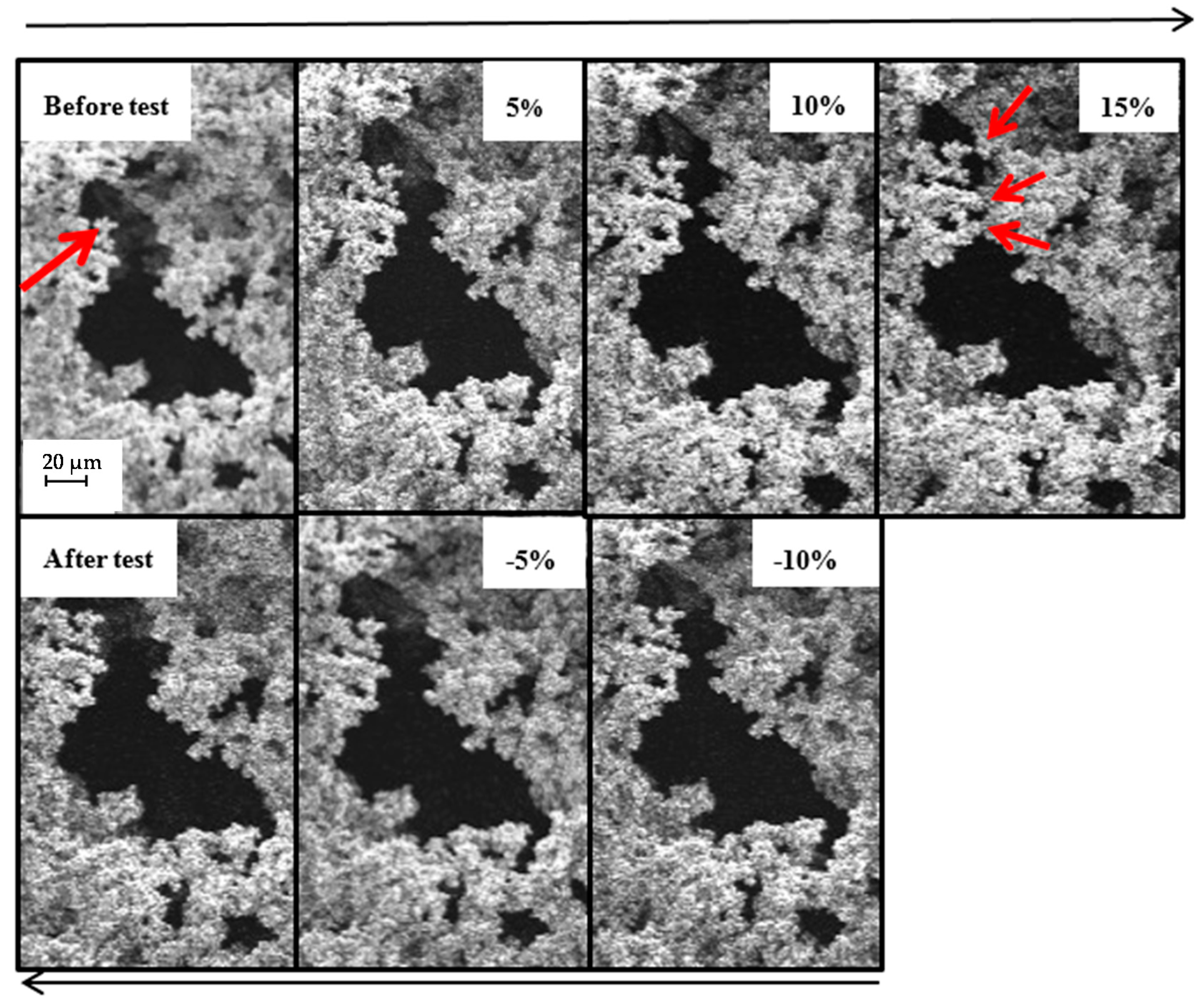 Carbon 02 00022 g009