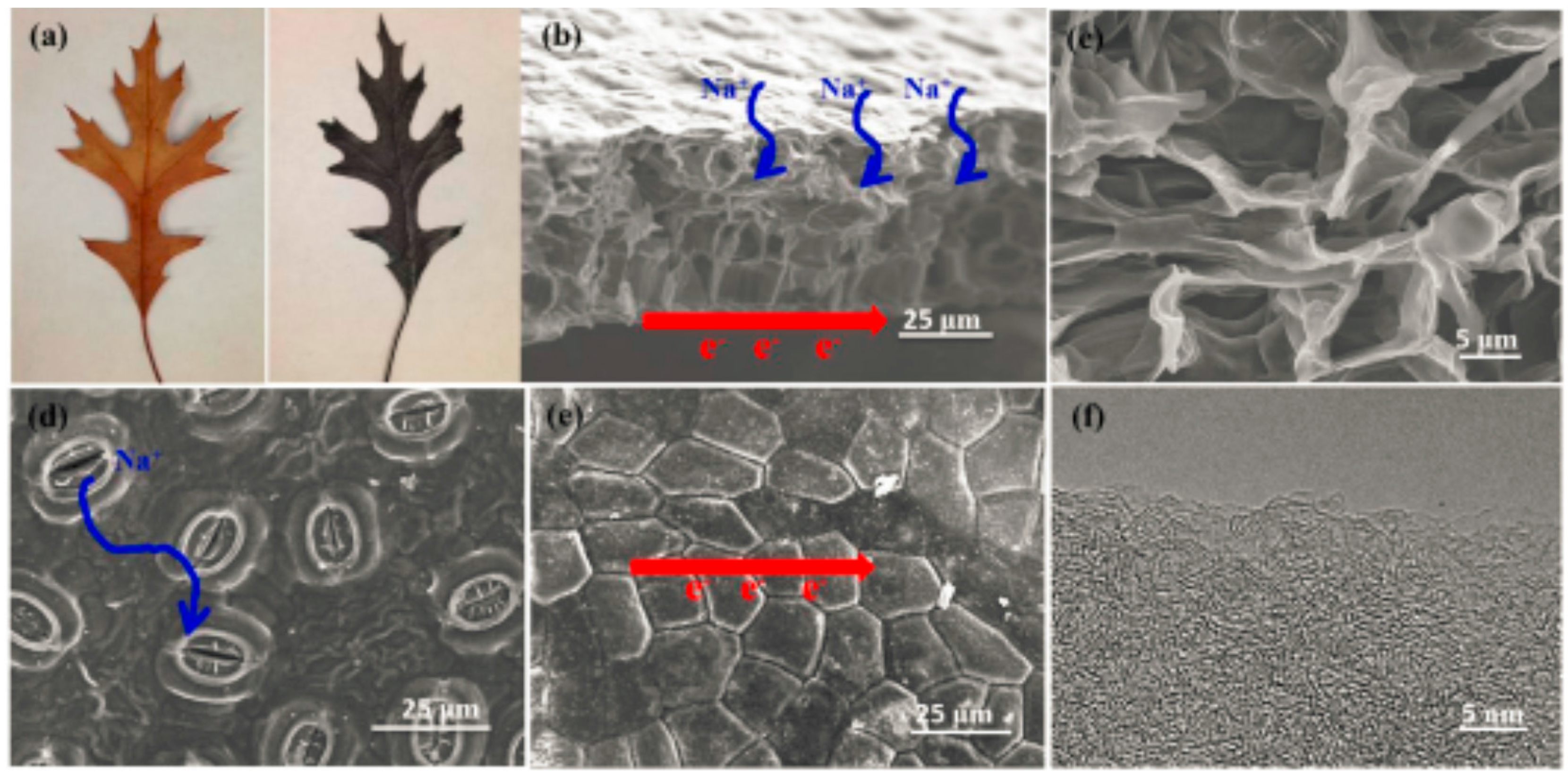 Carbon 02 00024 g006