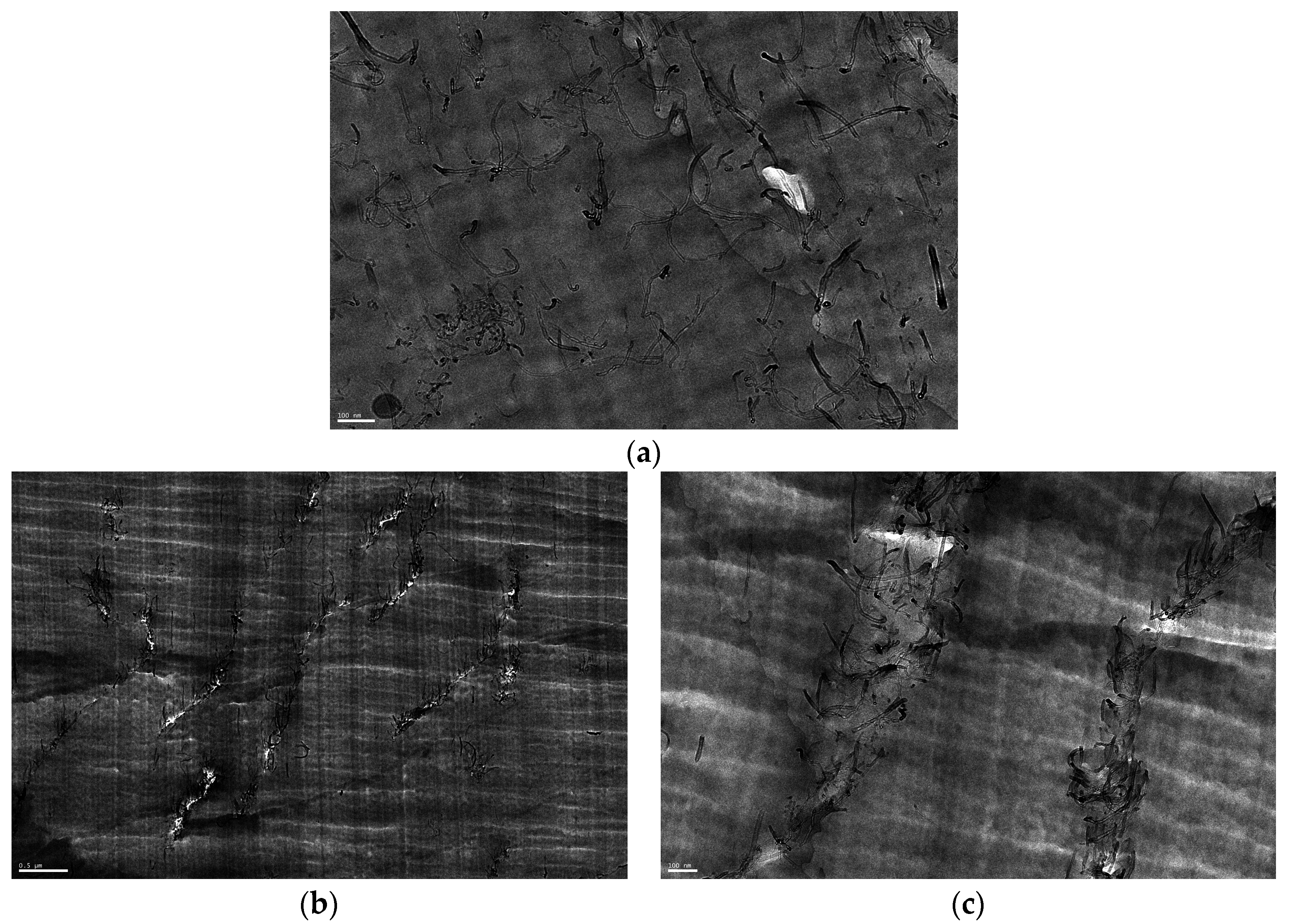Carbon 03 00010 g001