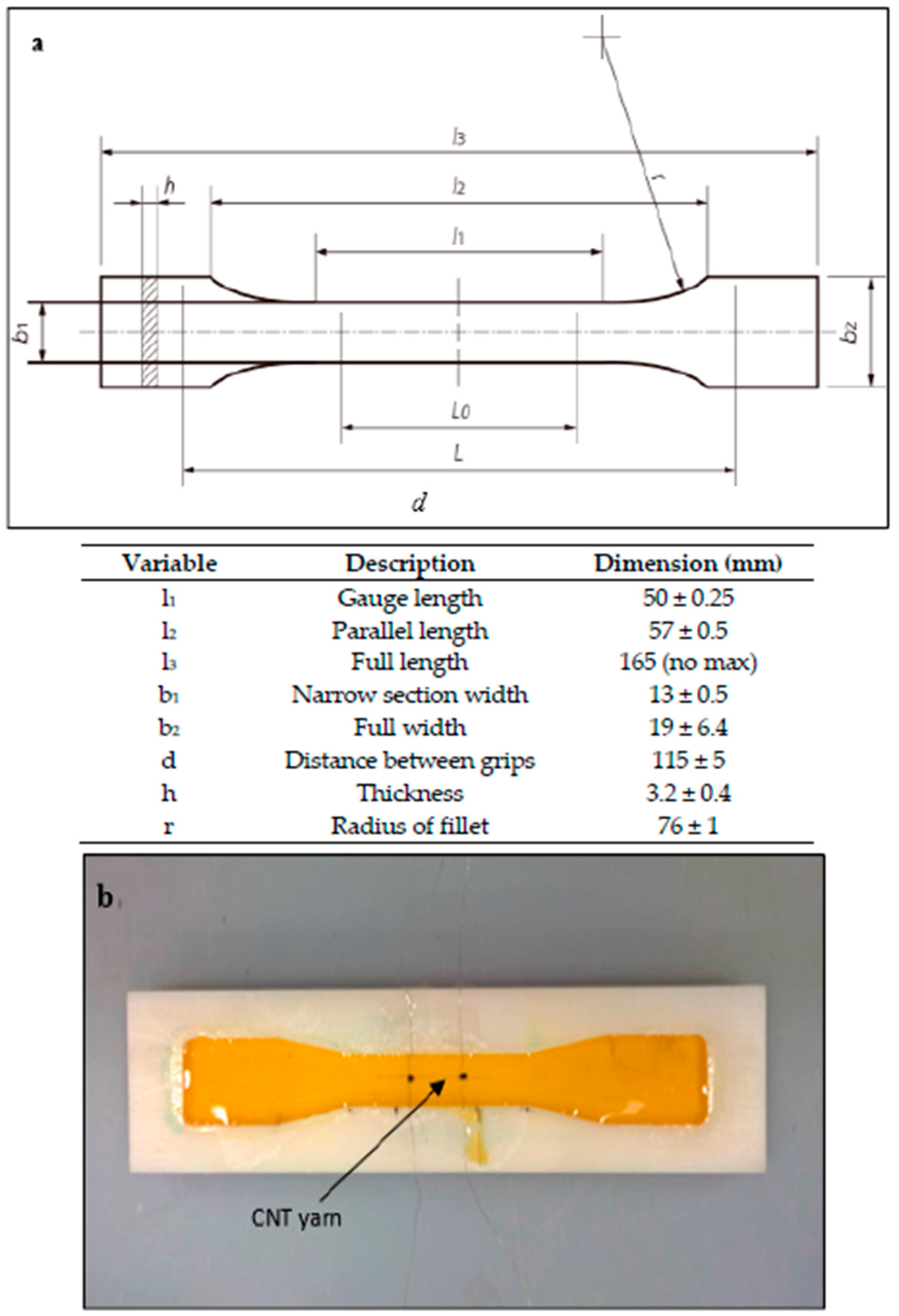 Carbon 03 00014 g004