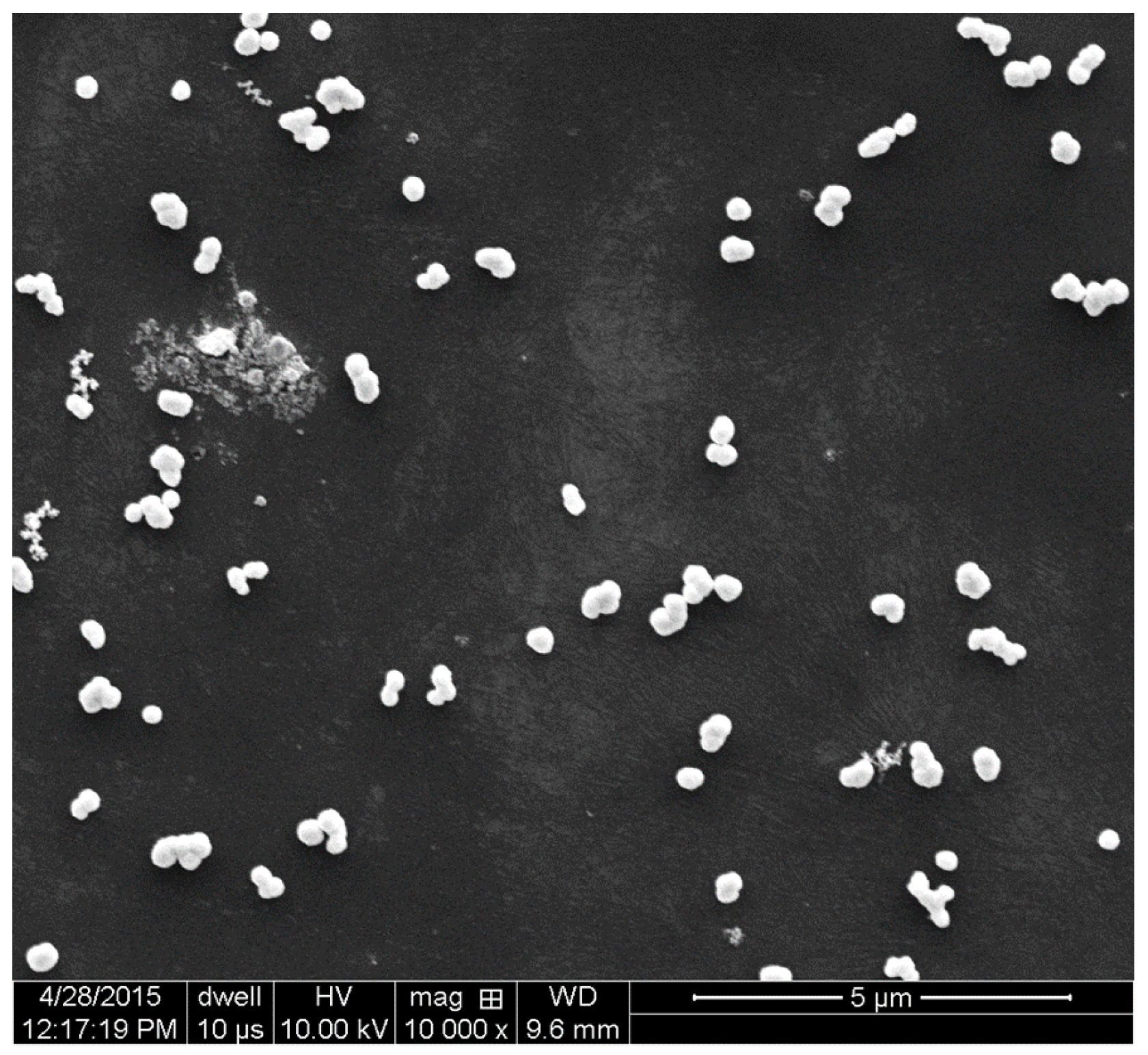 Carbon 03 00017 g009