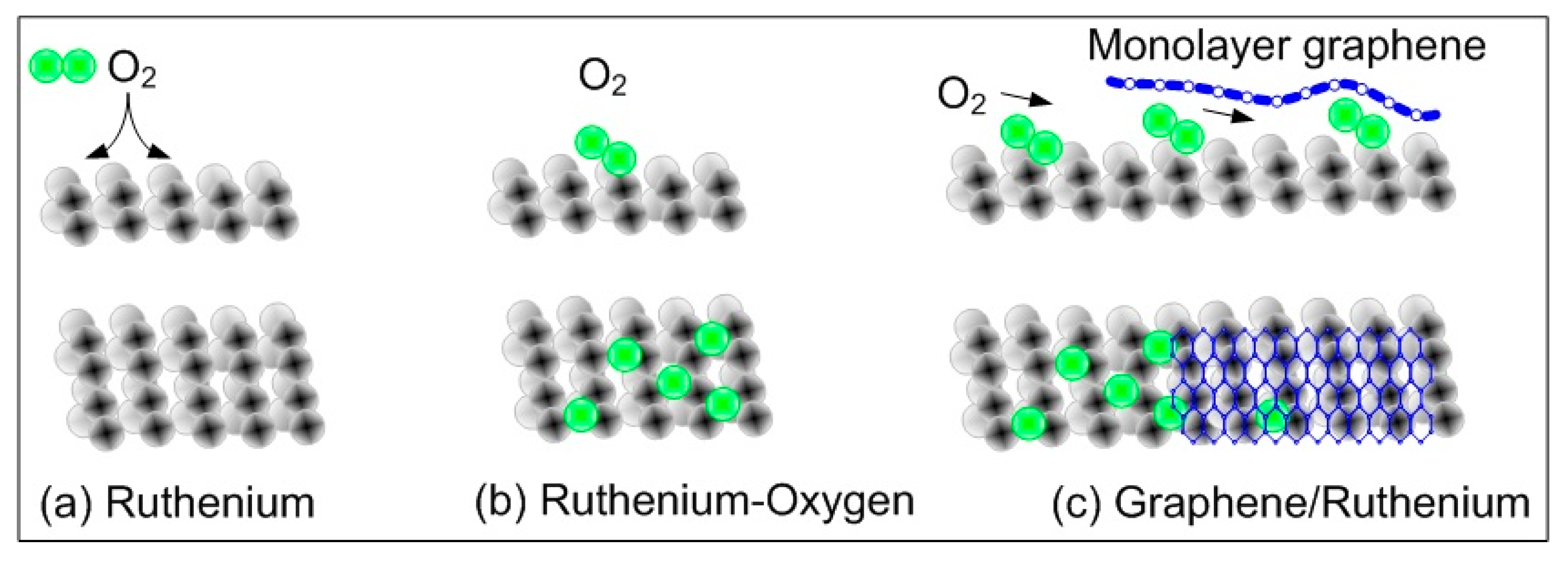 Carbon 03 00029 g005