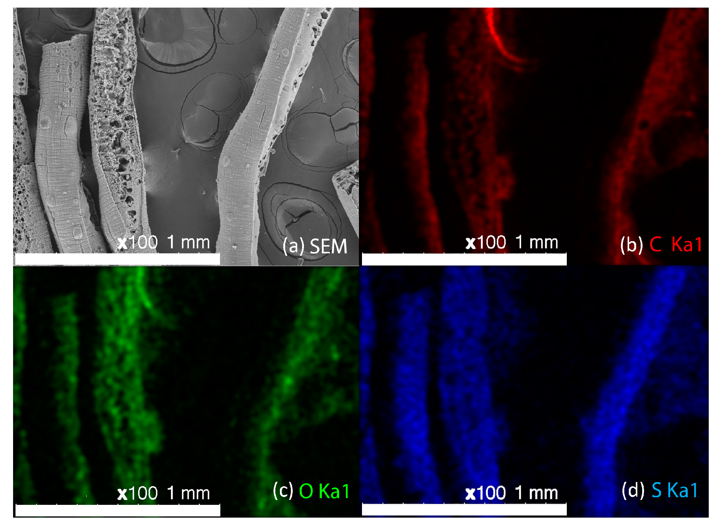 Carbon 03 00035 g004