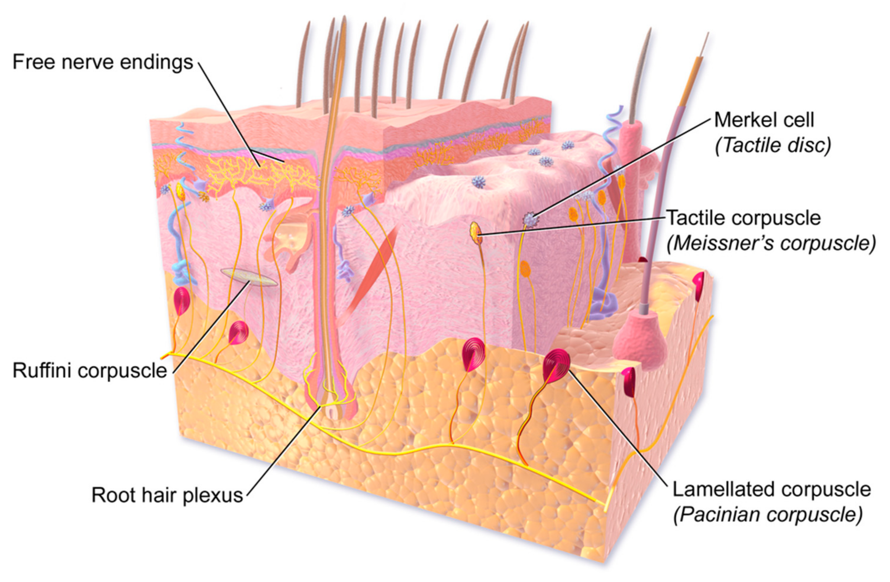 Carbon 03 00038 g001