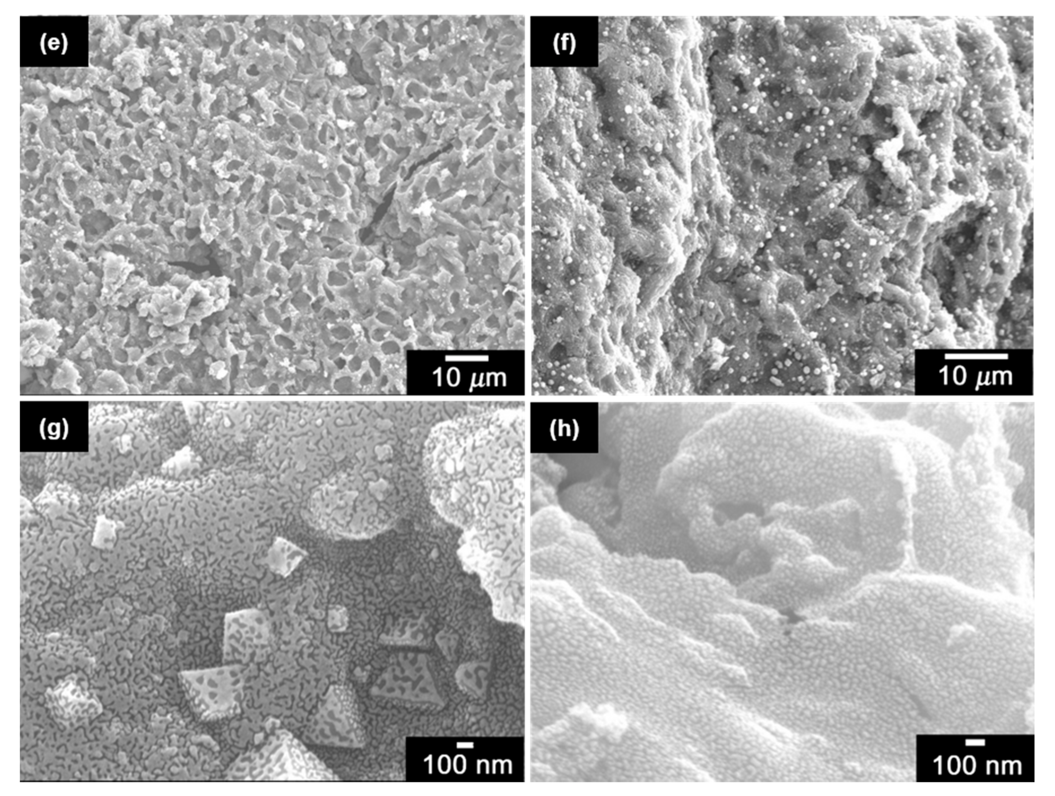 Carbon 04 00010 g003b