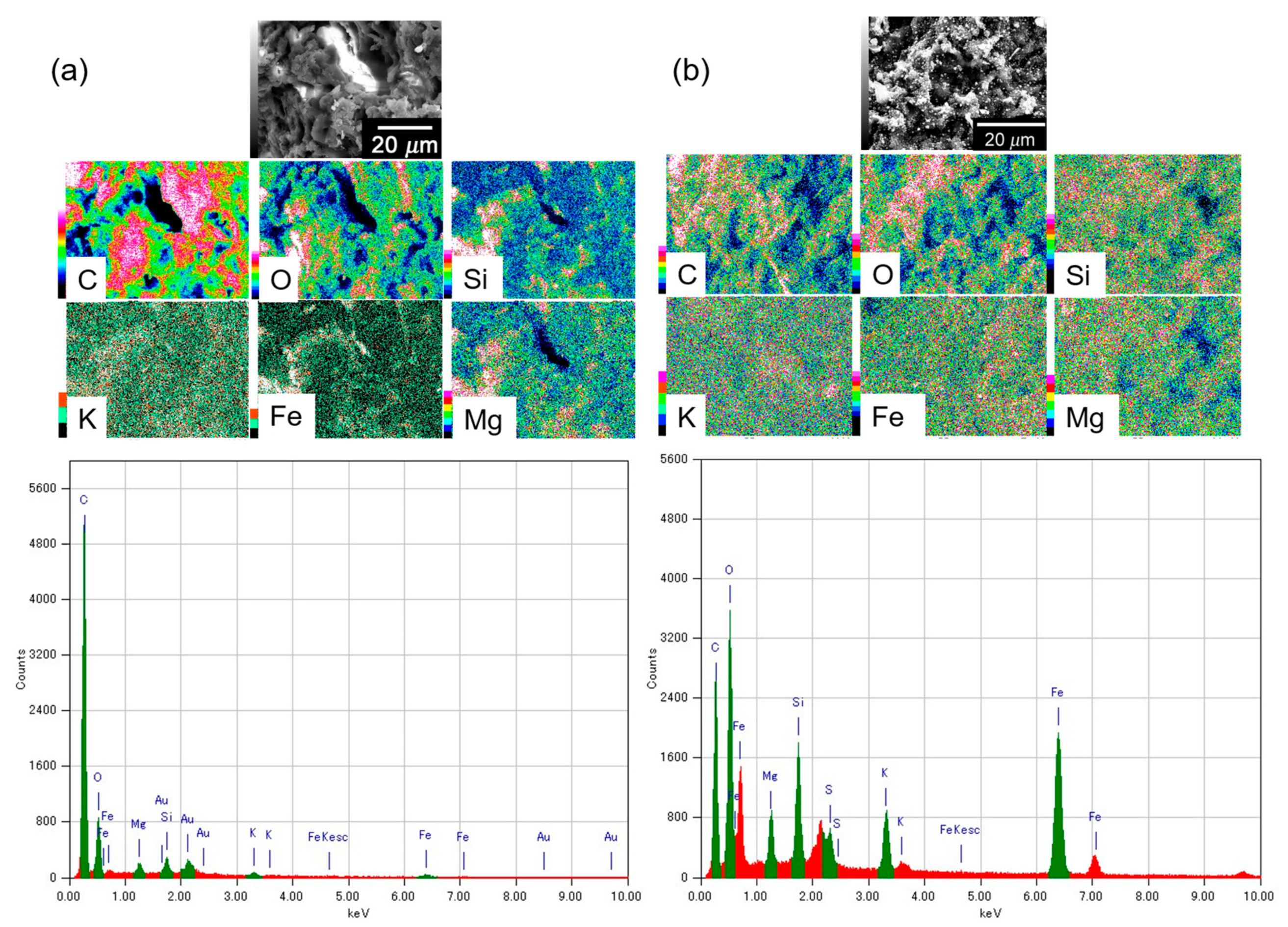 Carbon 04 00010 g004